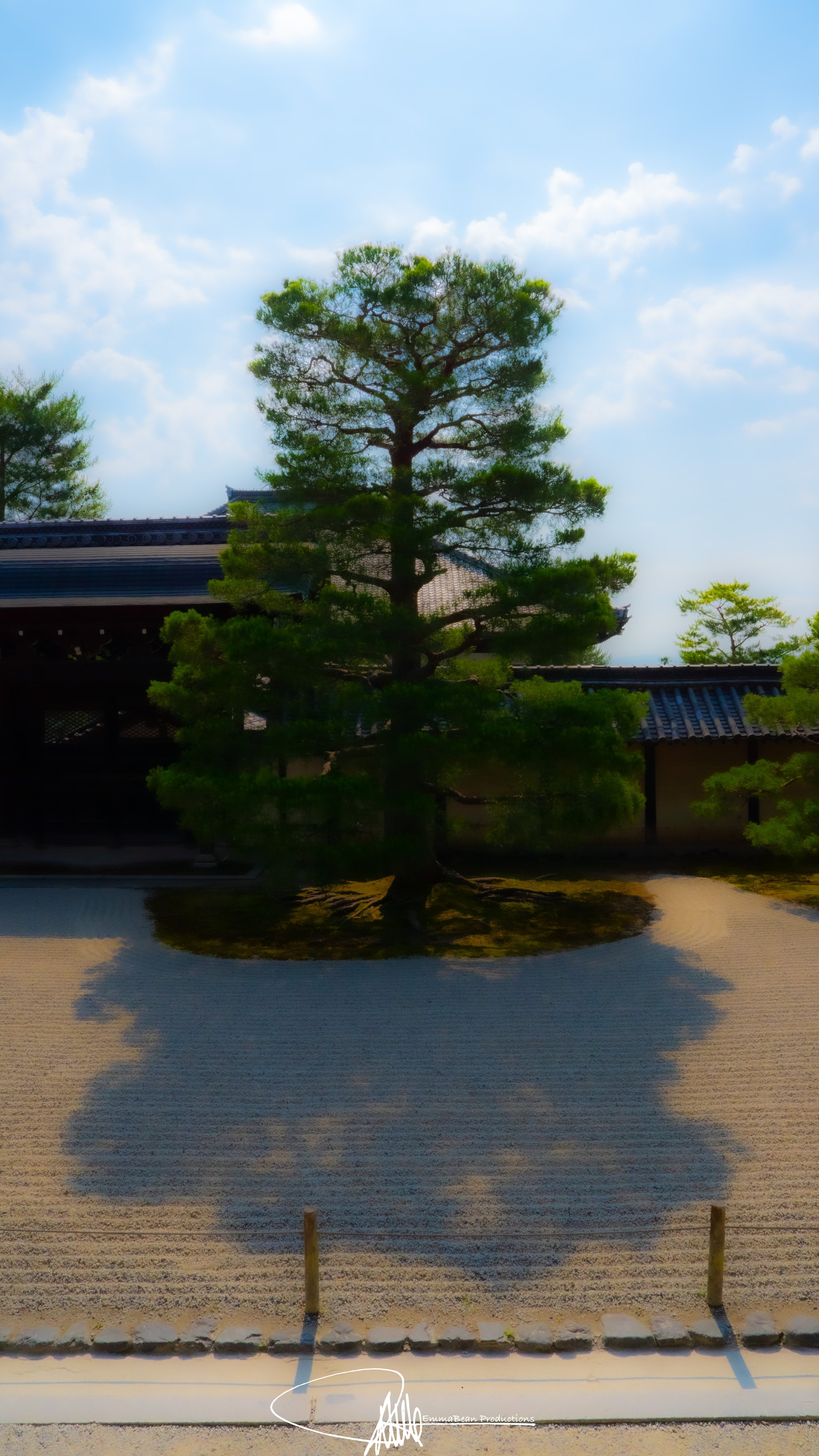 DSC04705-1.jpg
