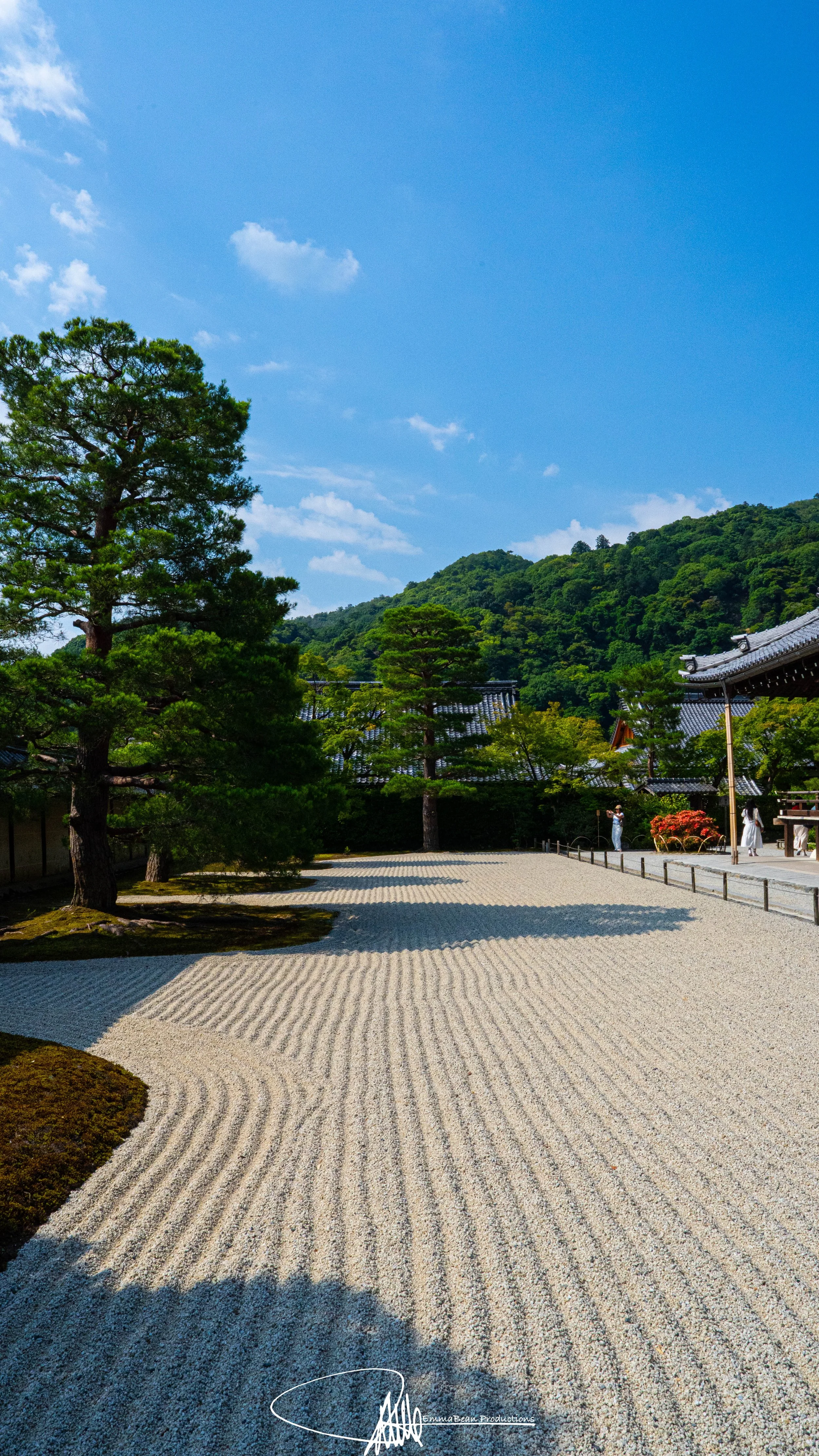 DSC04753-1.jpg