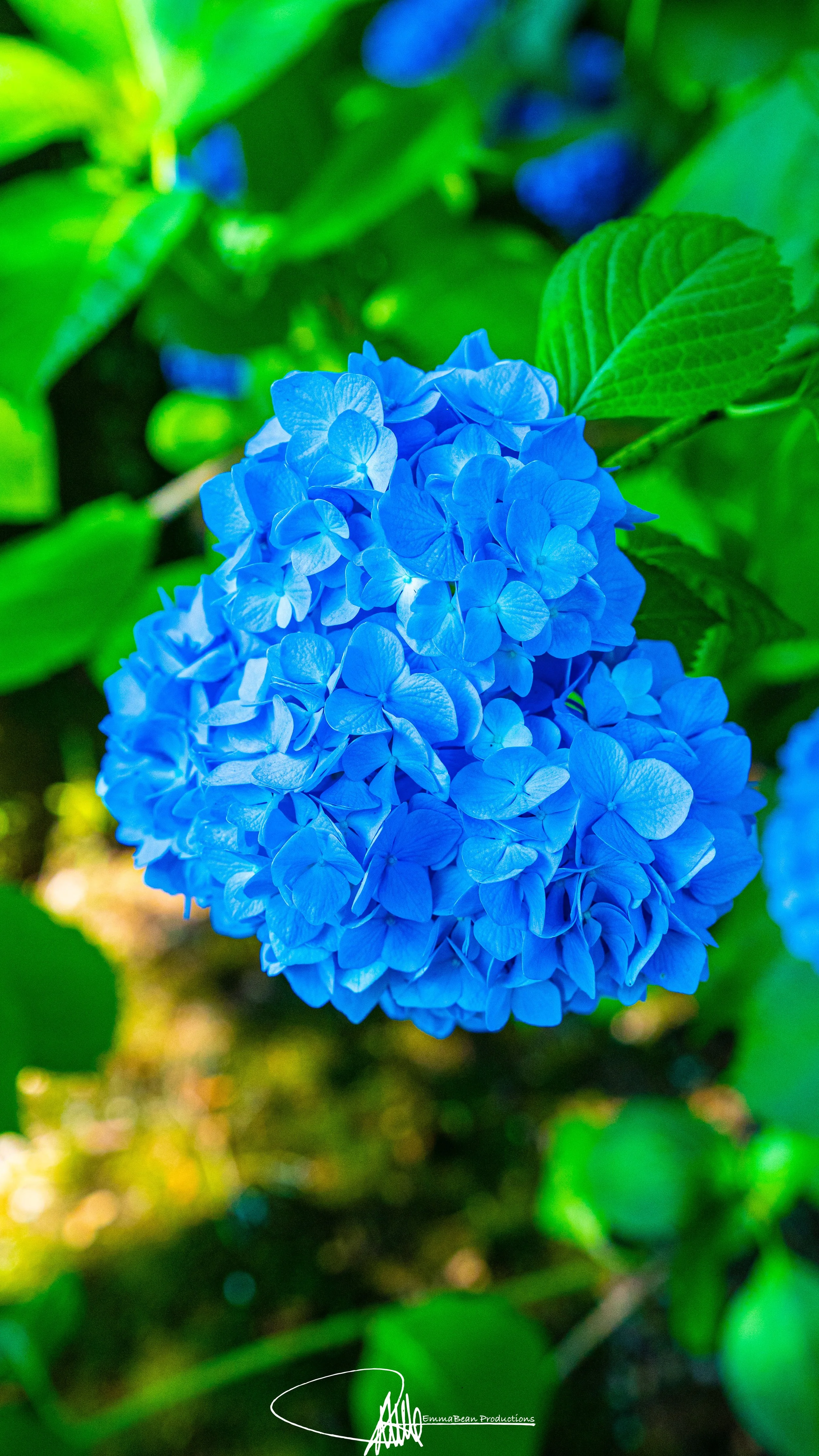 DSC04810-1.jpg