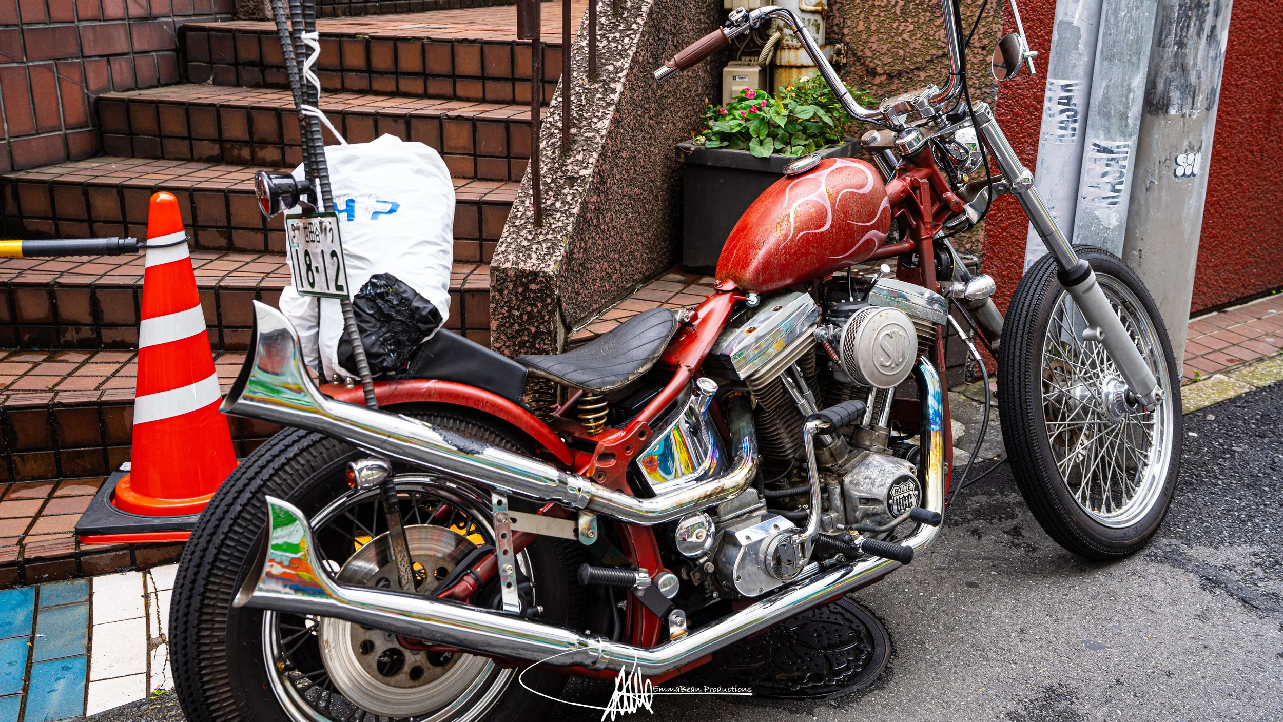 DSC03739-1.jpg