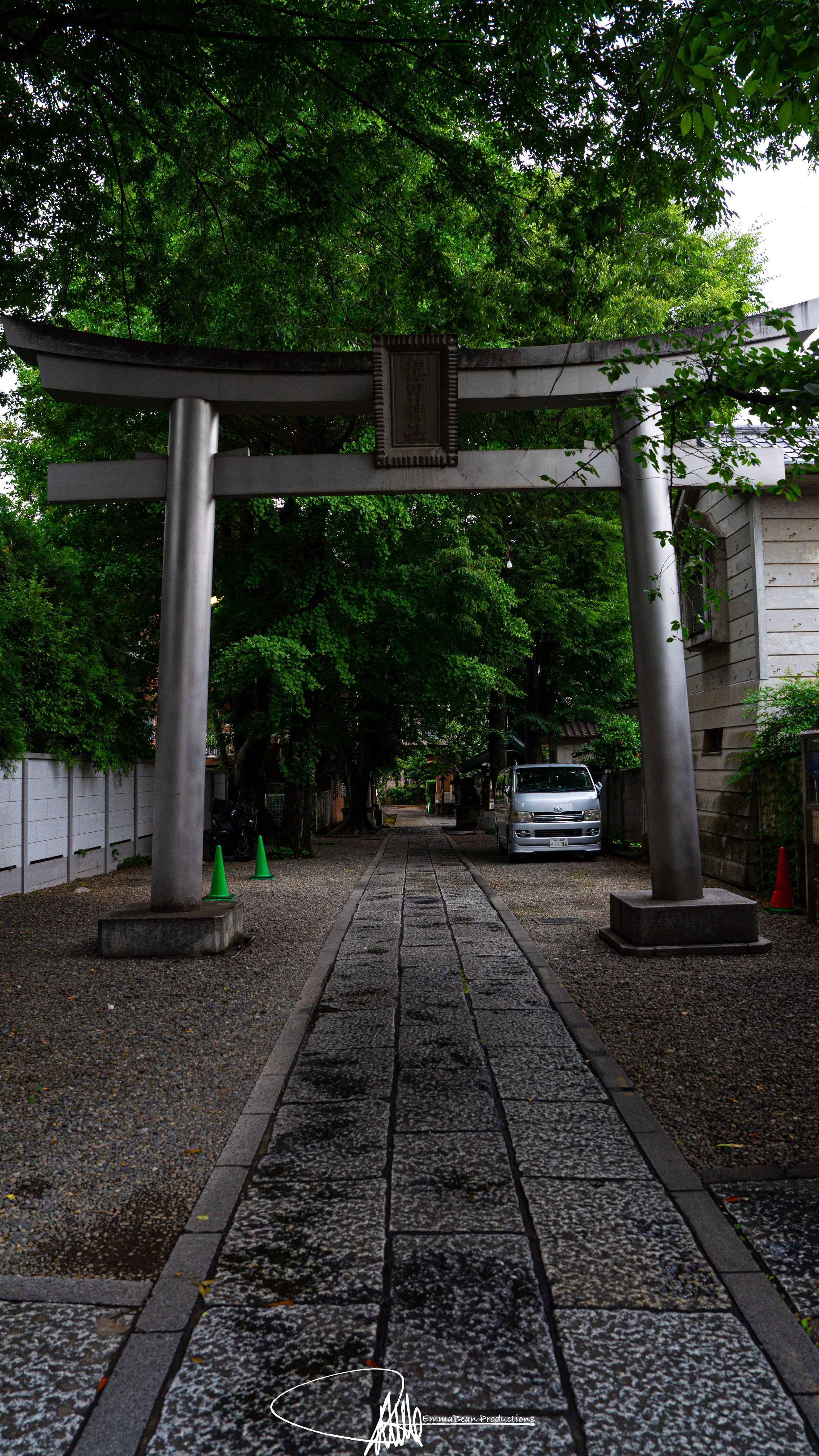 DSC03829-1.jpg