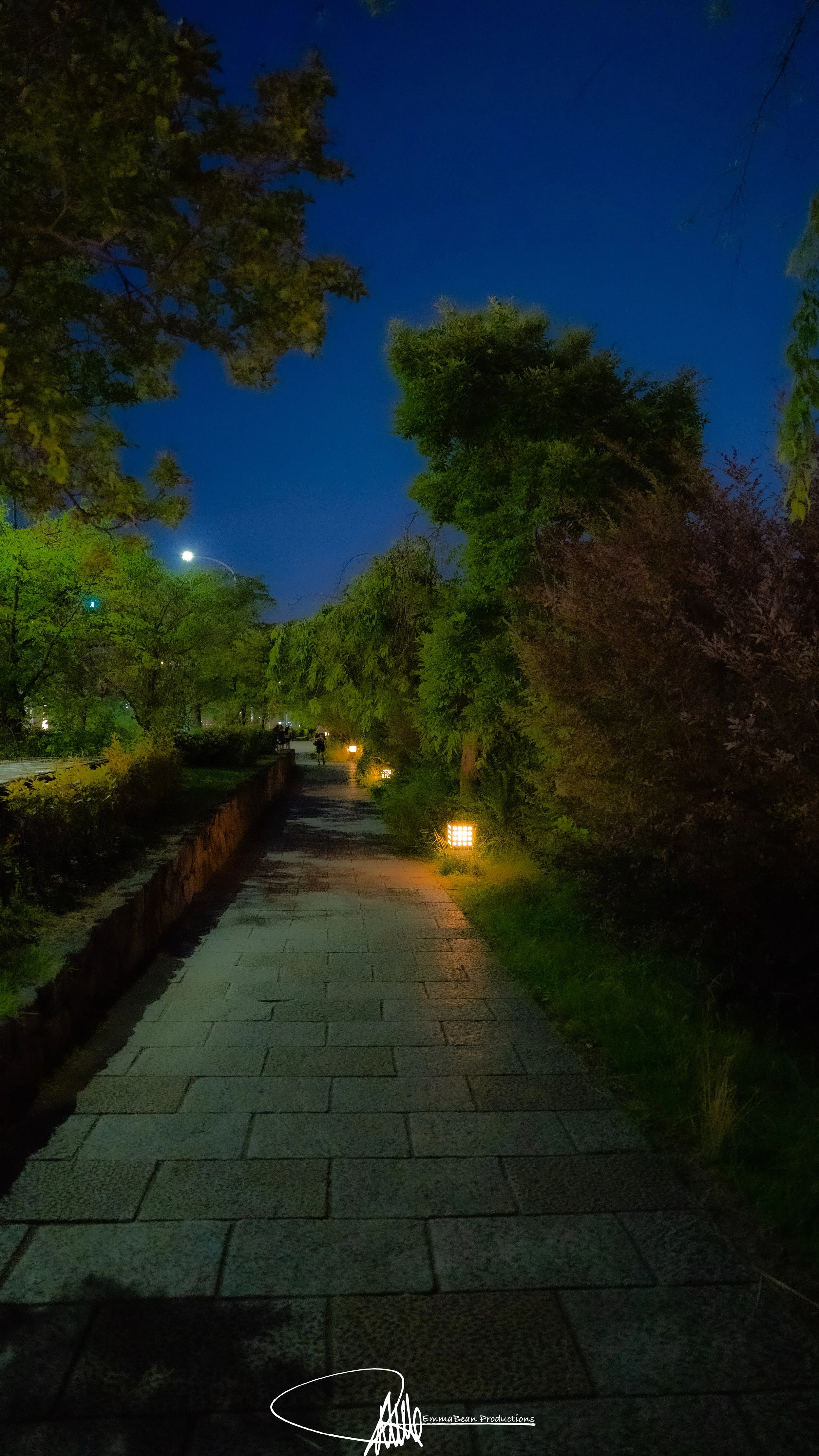 DSC04157-1.jpg