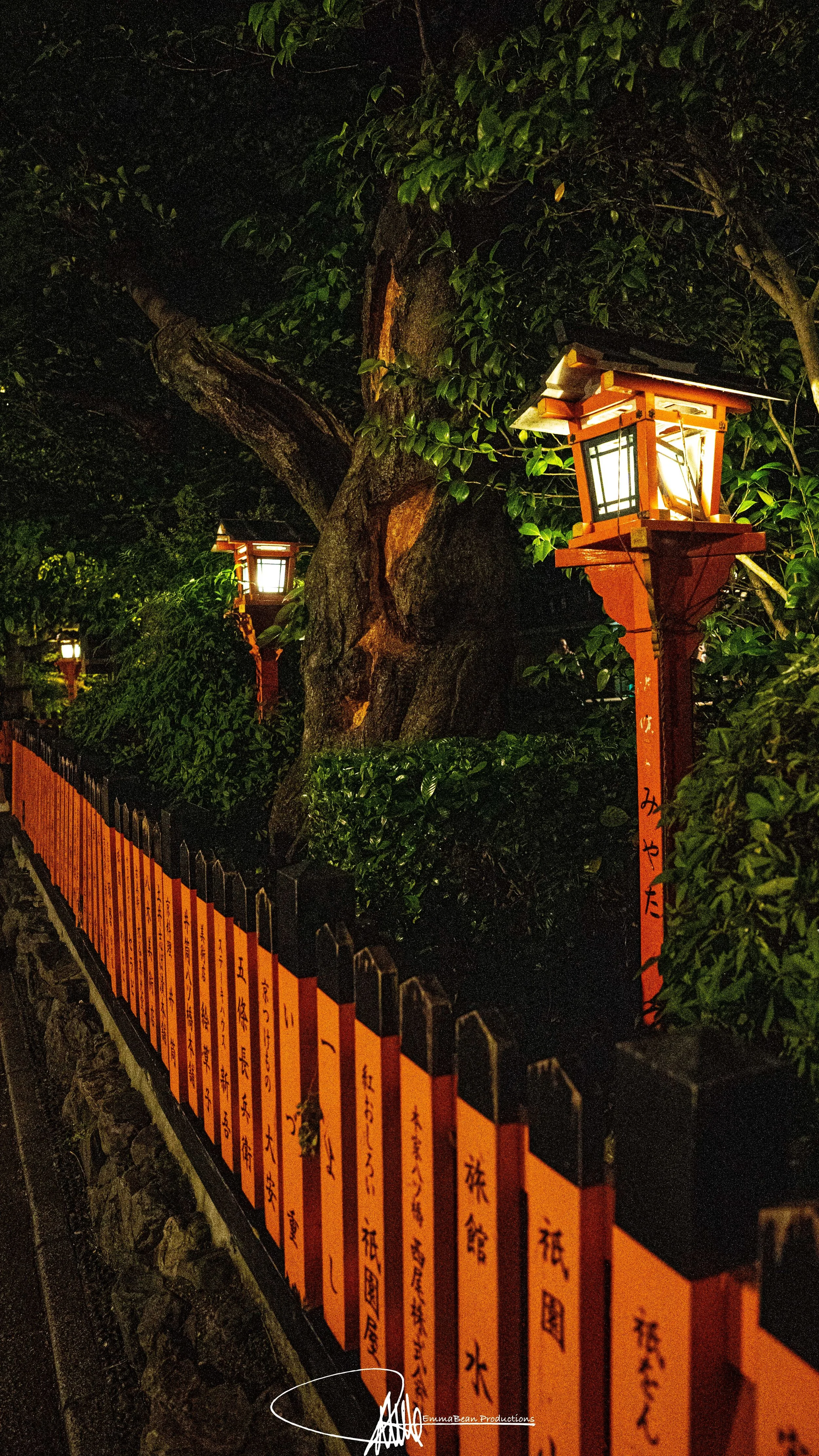 DSC04182-1.jpg