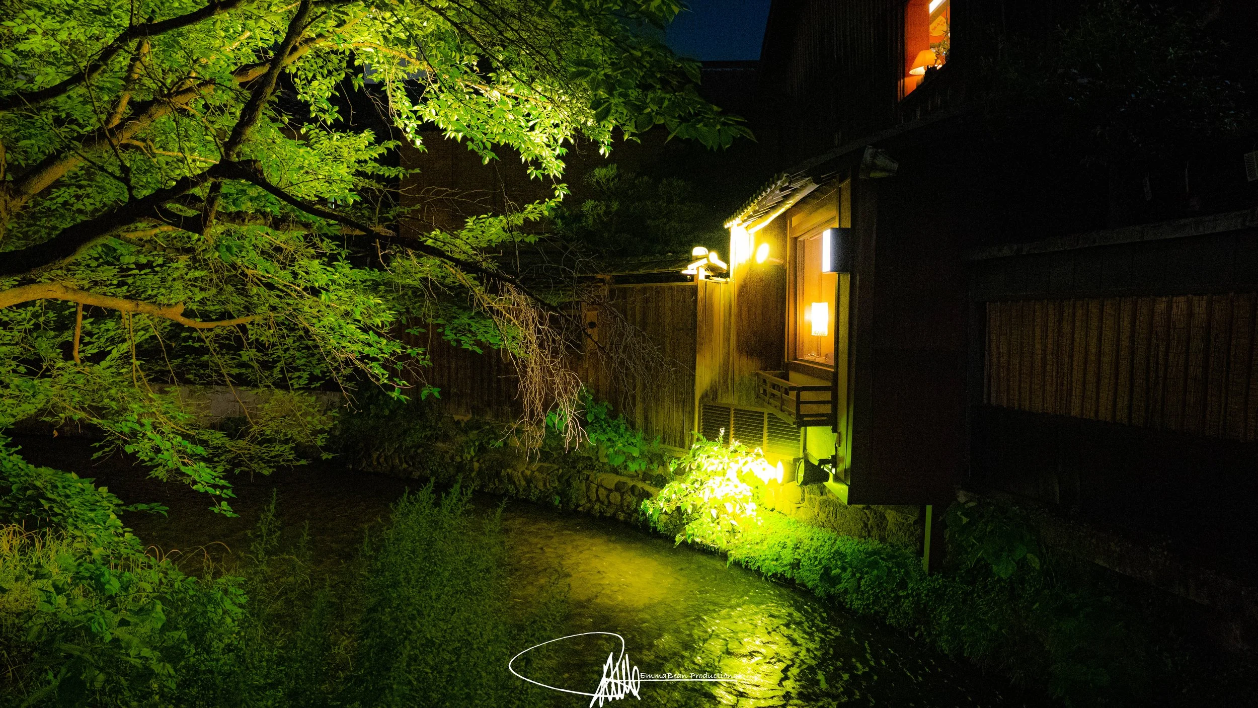 DSC04189-1.jpg