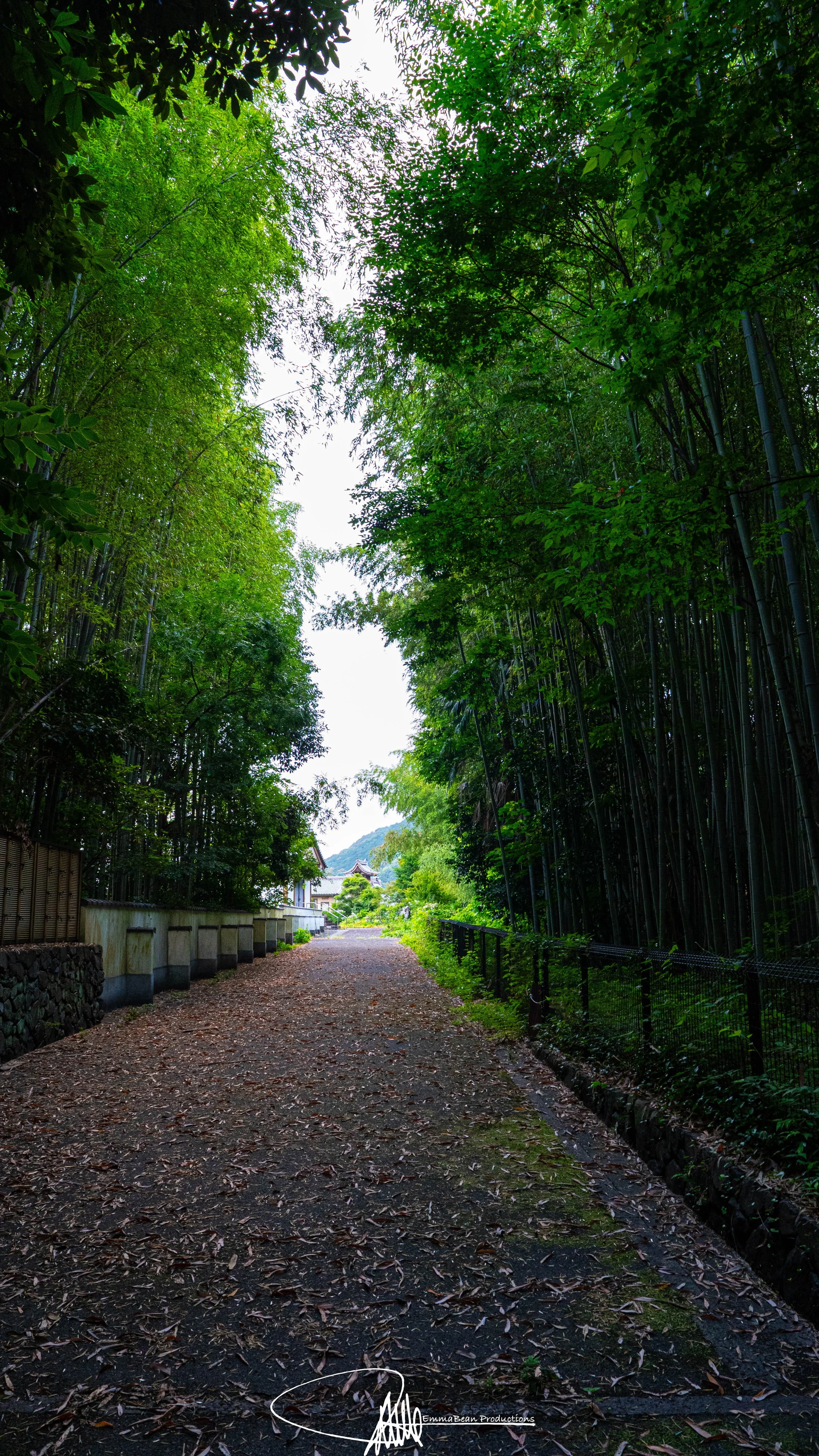 DSC04265-1.jpg