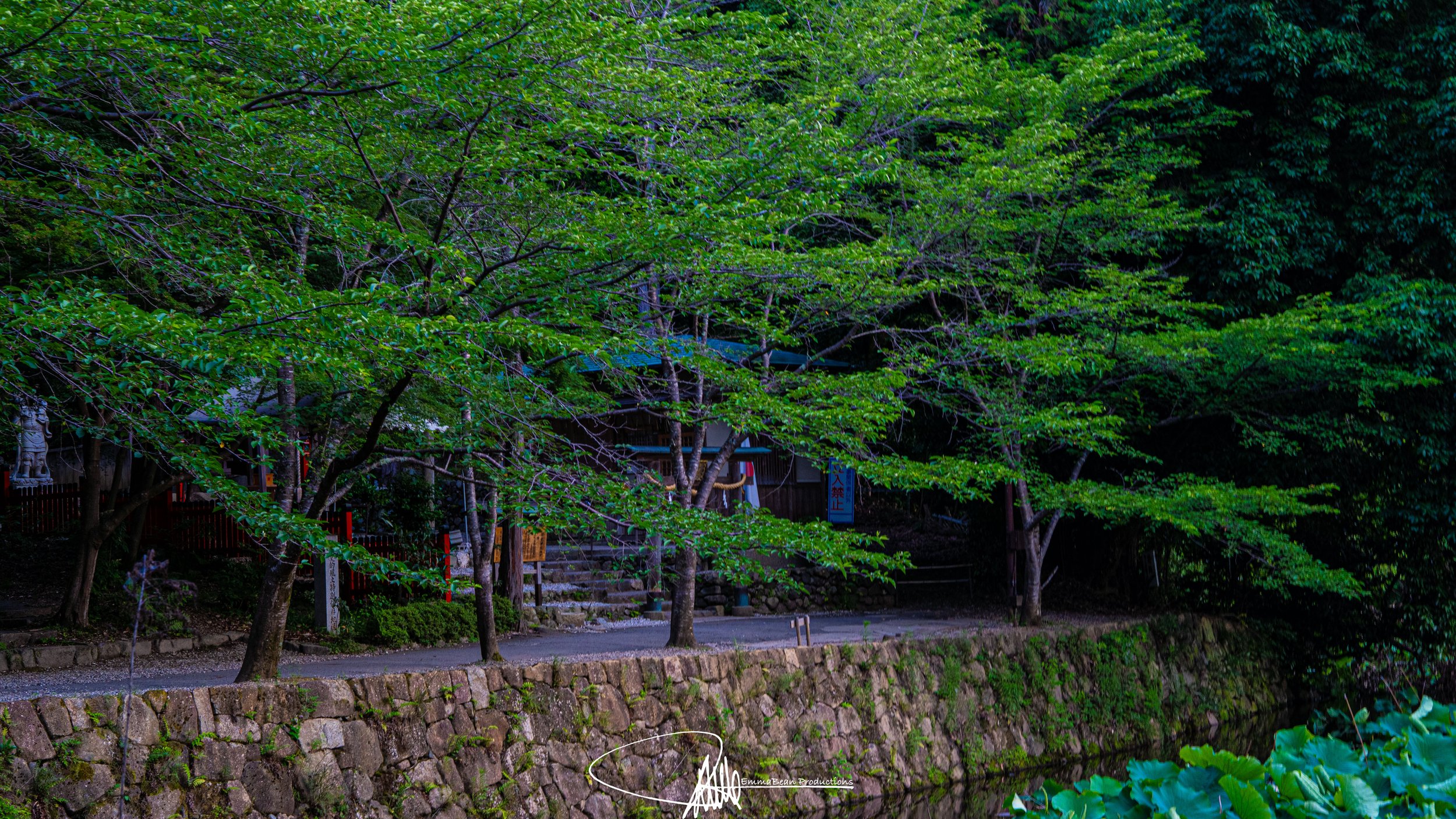DSC04305-1.jpg