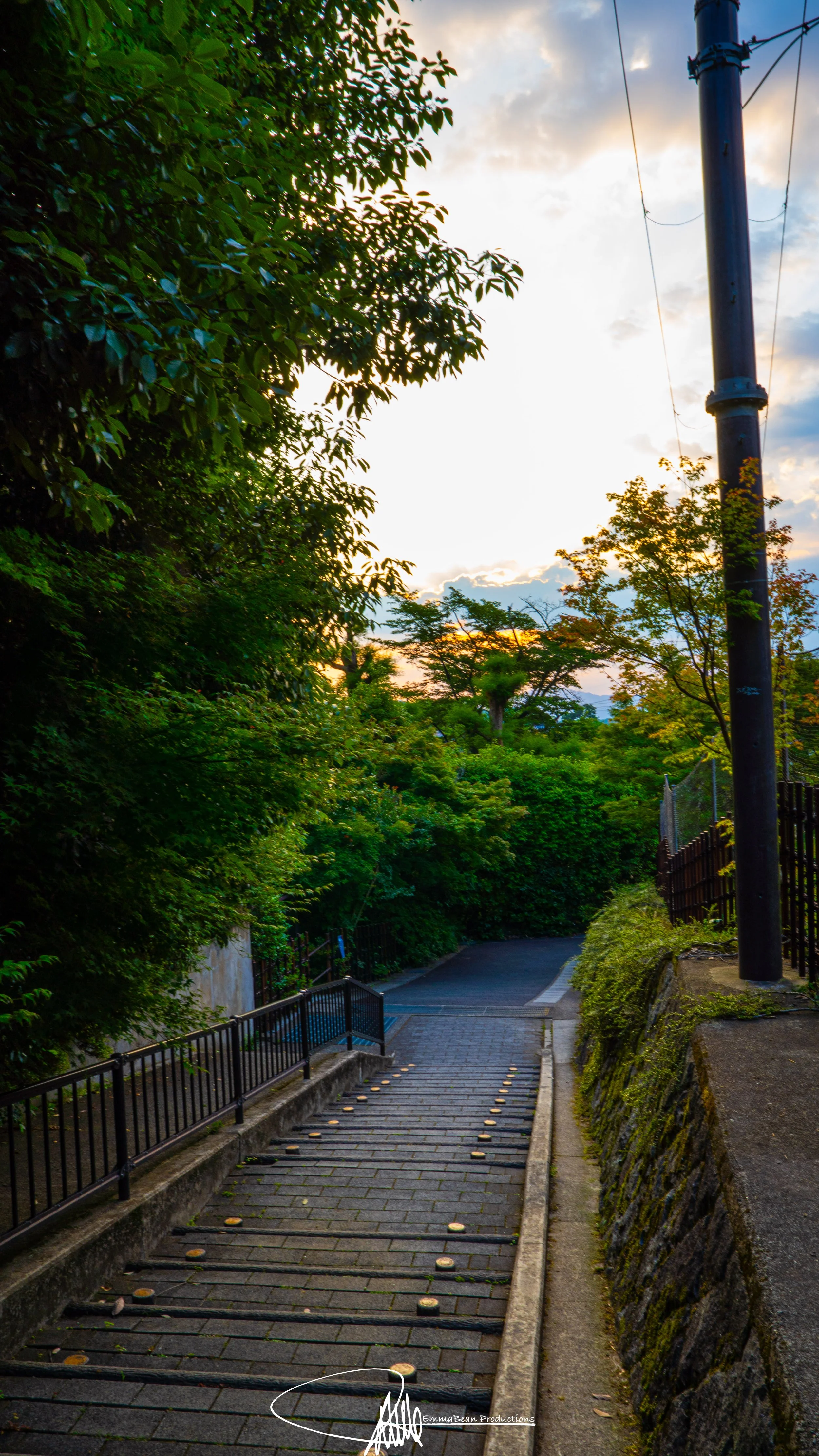 DSC04320-1.jpg