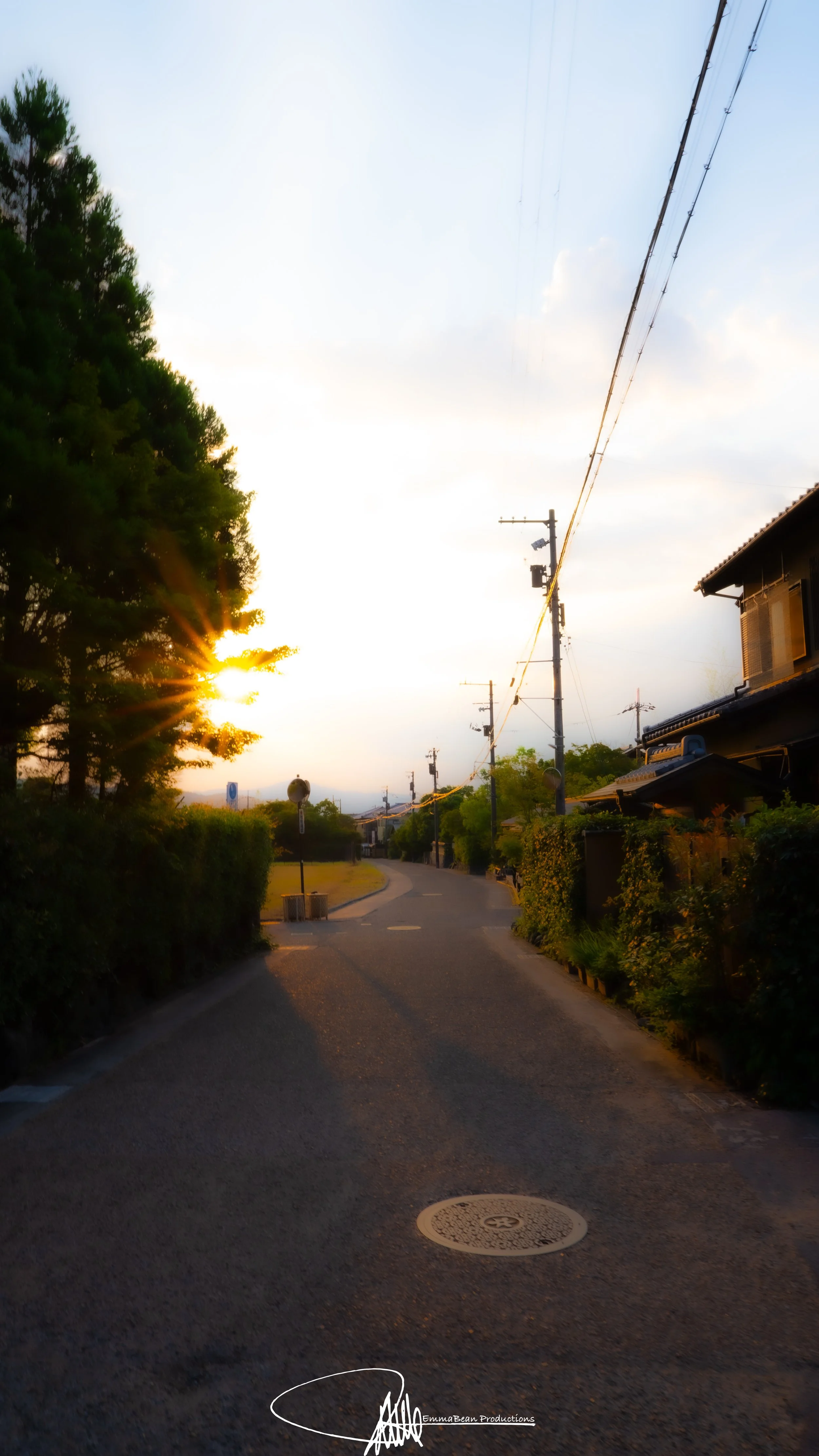 DSC04330-1.jpg
