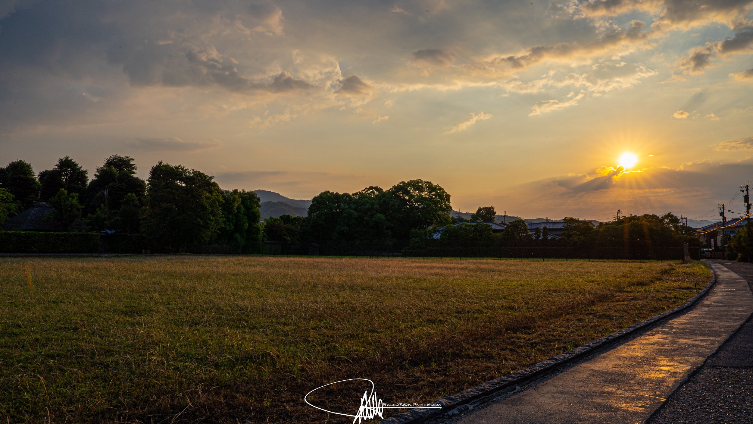 DSC04344-1.jpg