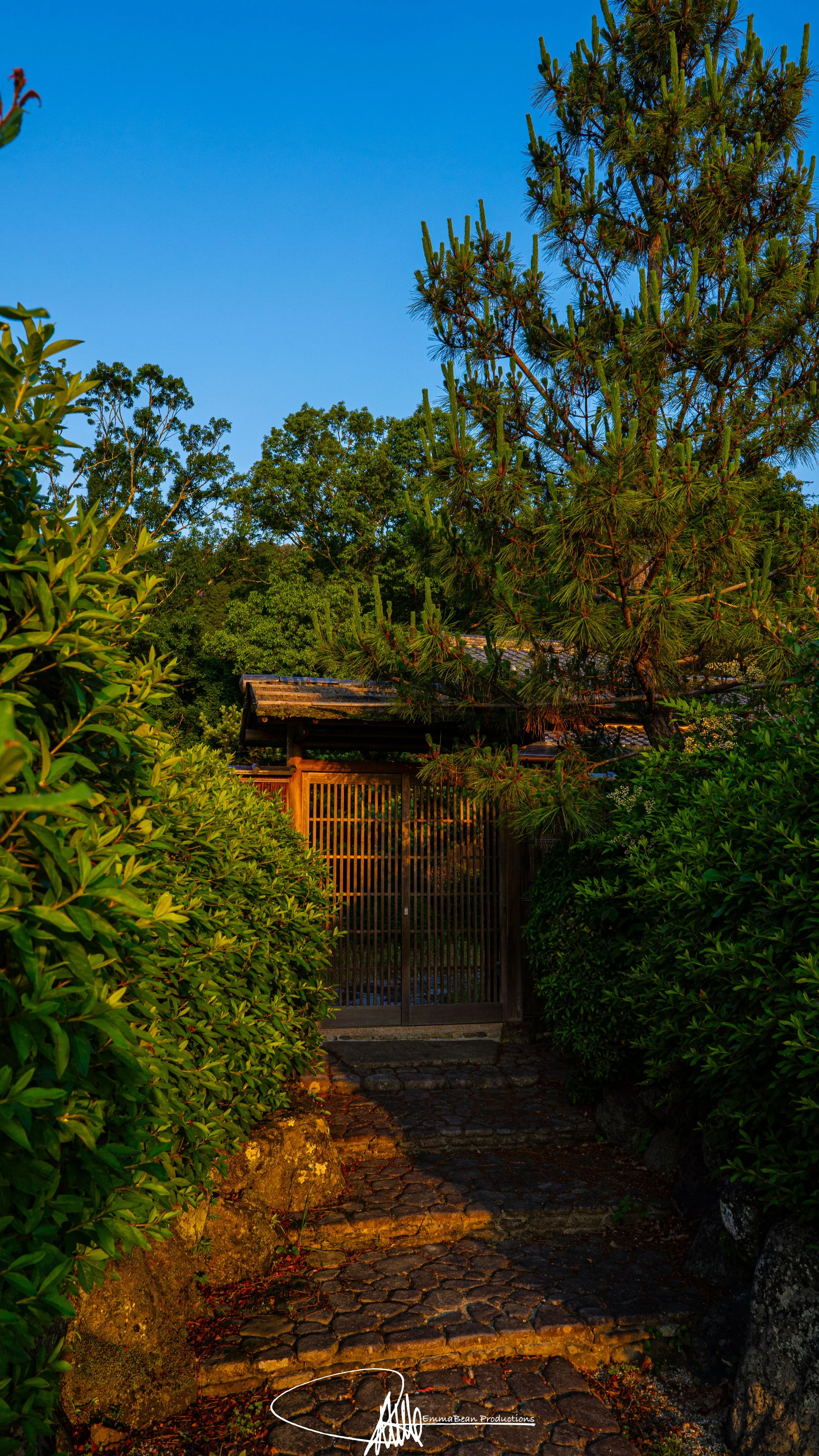 DSC04357-1.jpg