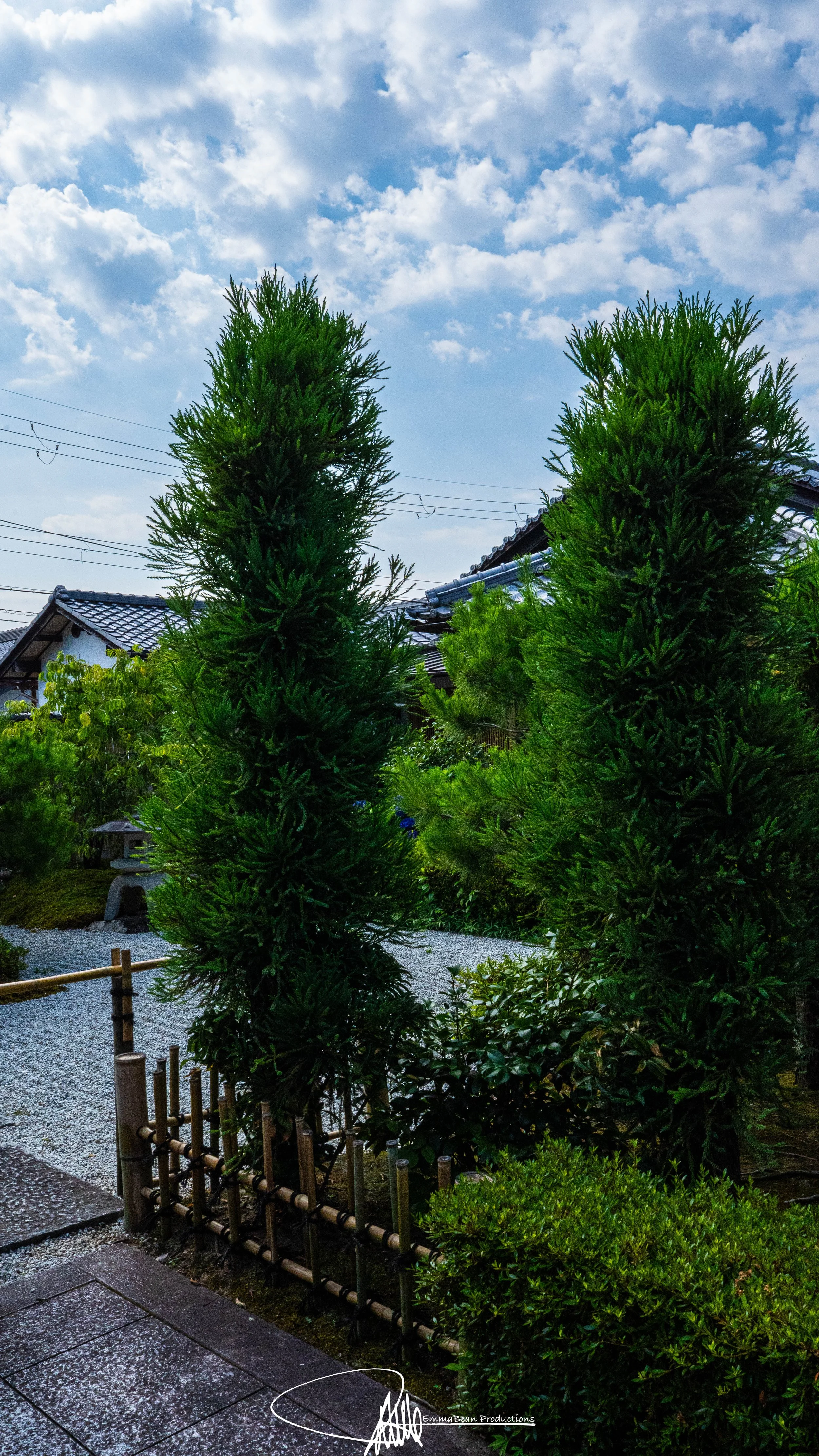 DSC04678-1.jpg