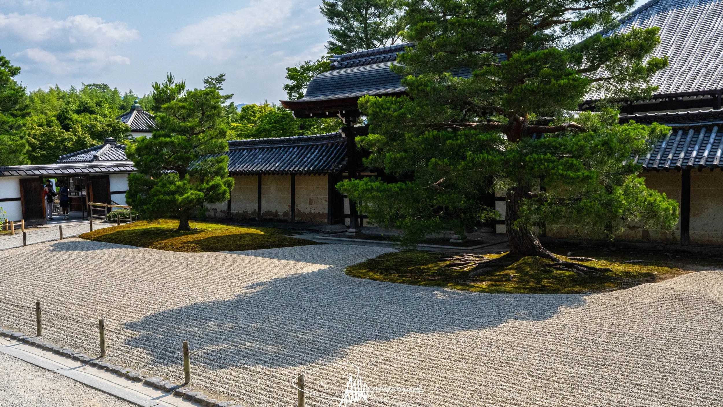 DSC04701-1.jpg