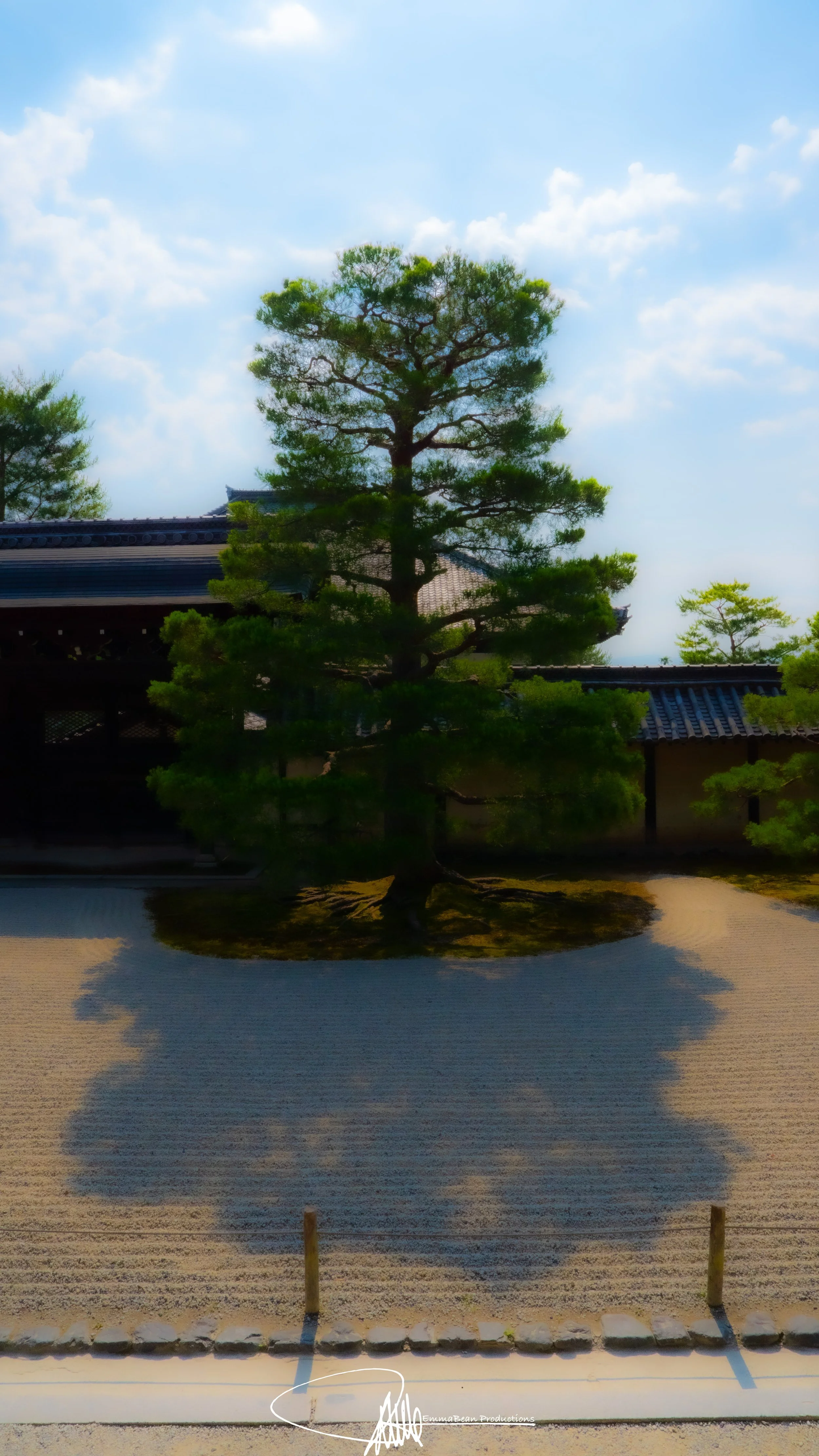 DSC04705-1.jpg