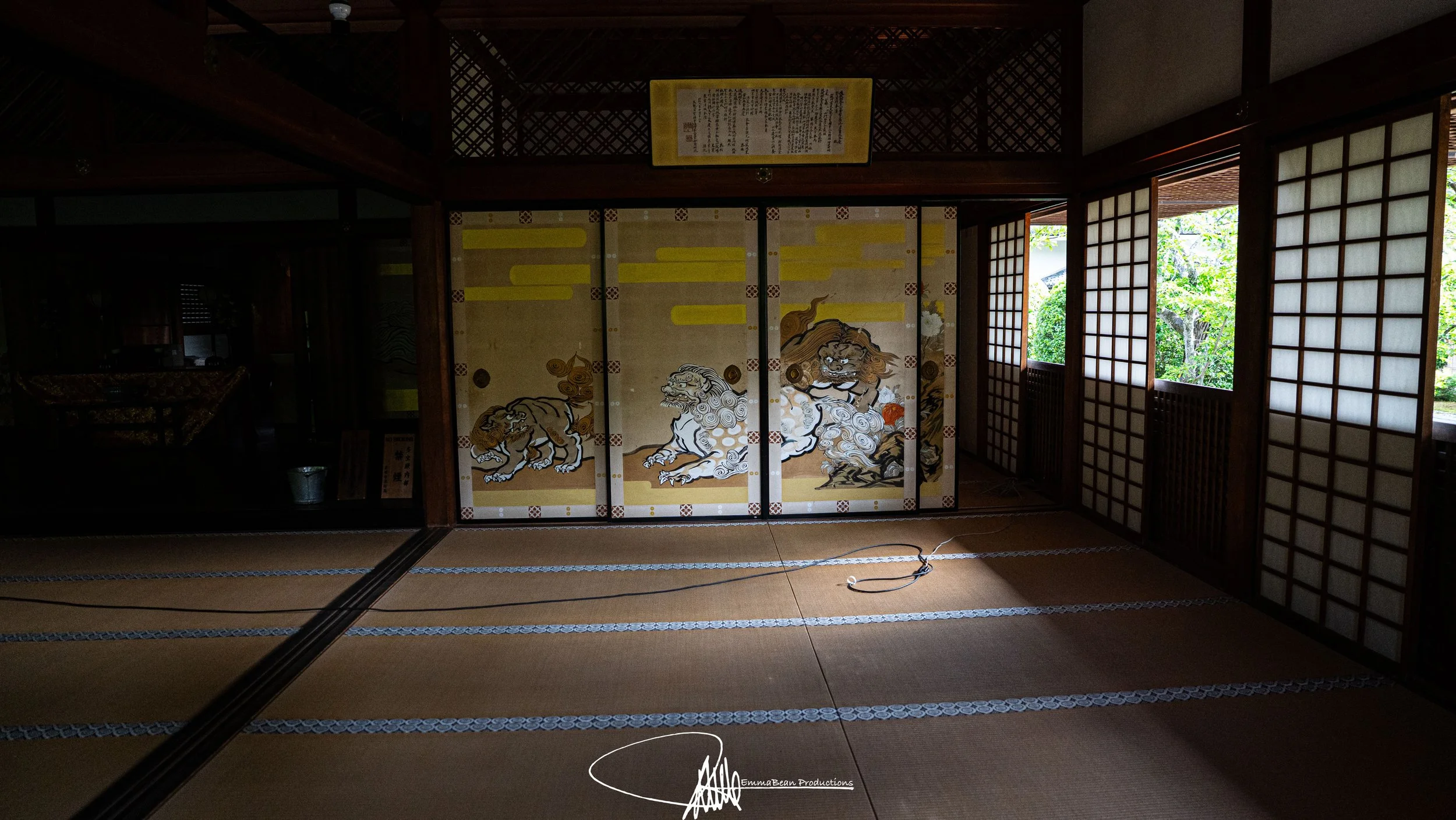 DSC04728-1.jpg
