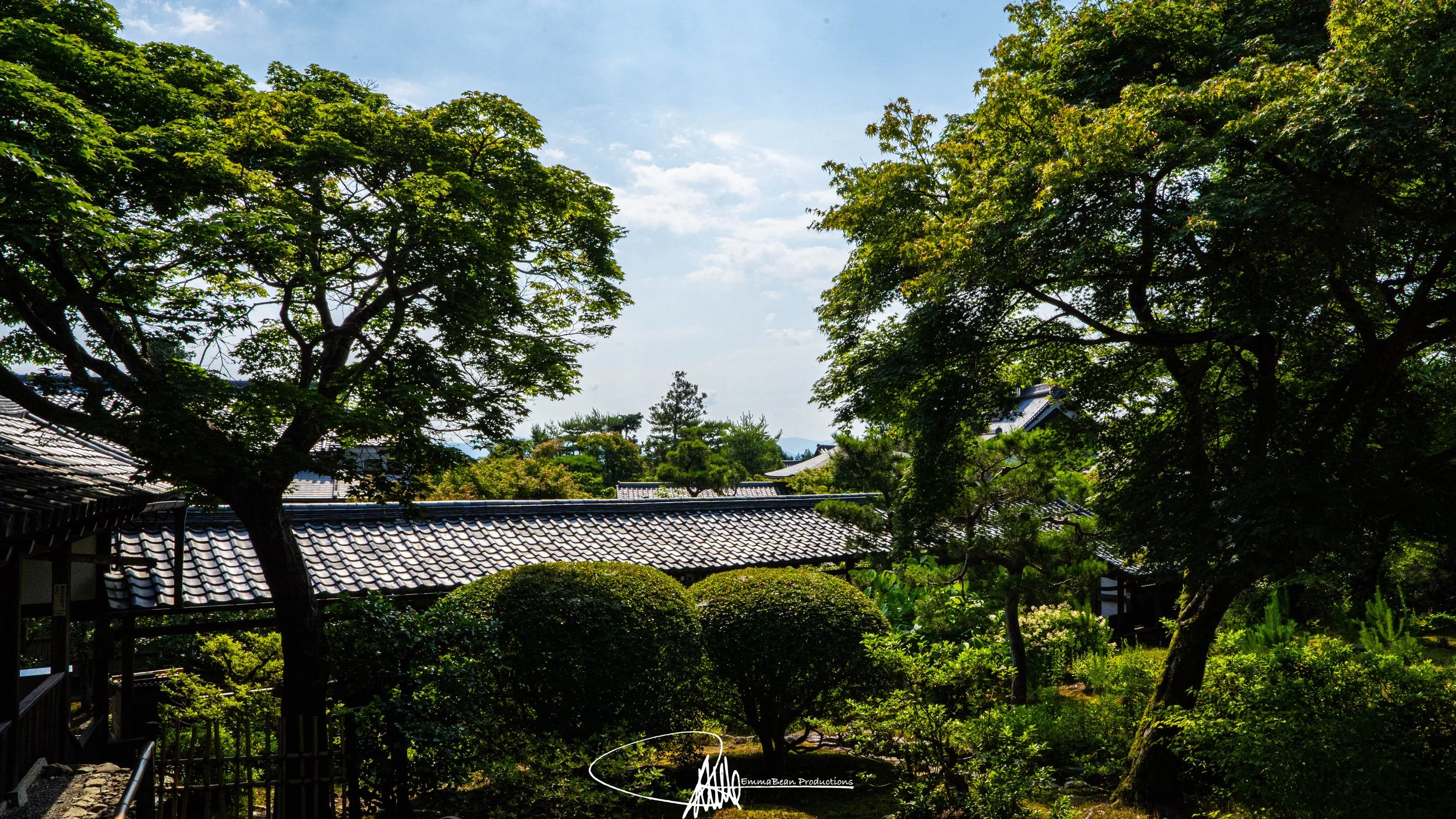 DSC04744-1.jpg