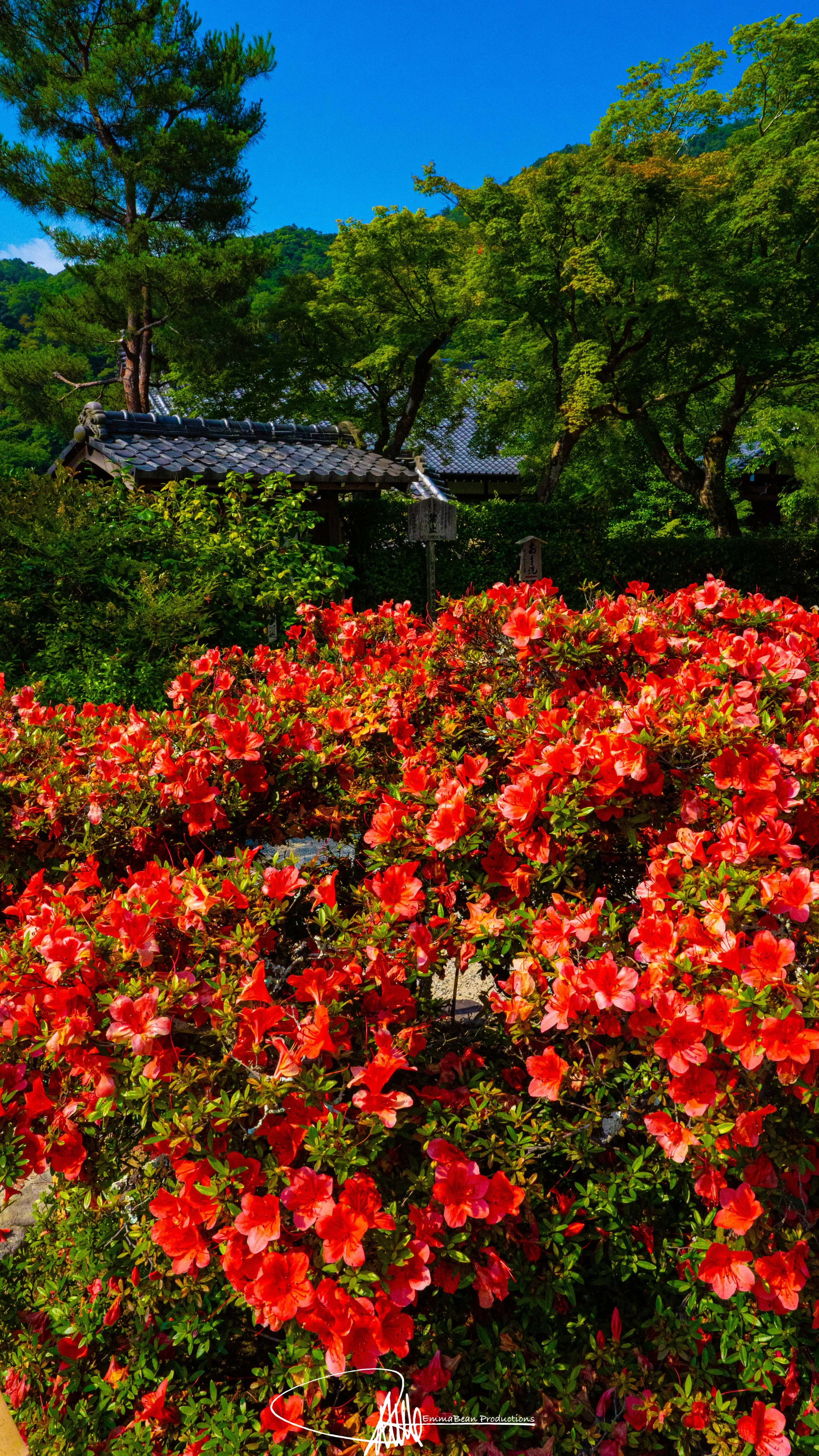 DSC04760-1.jpg