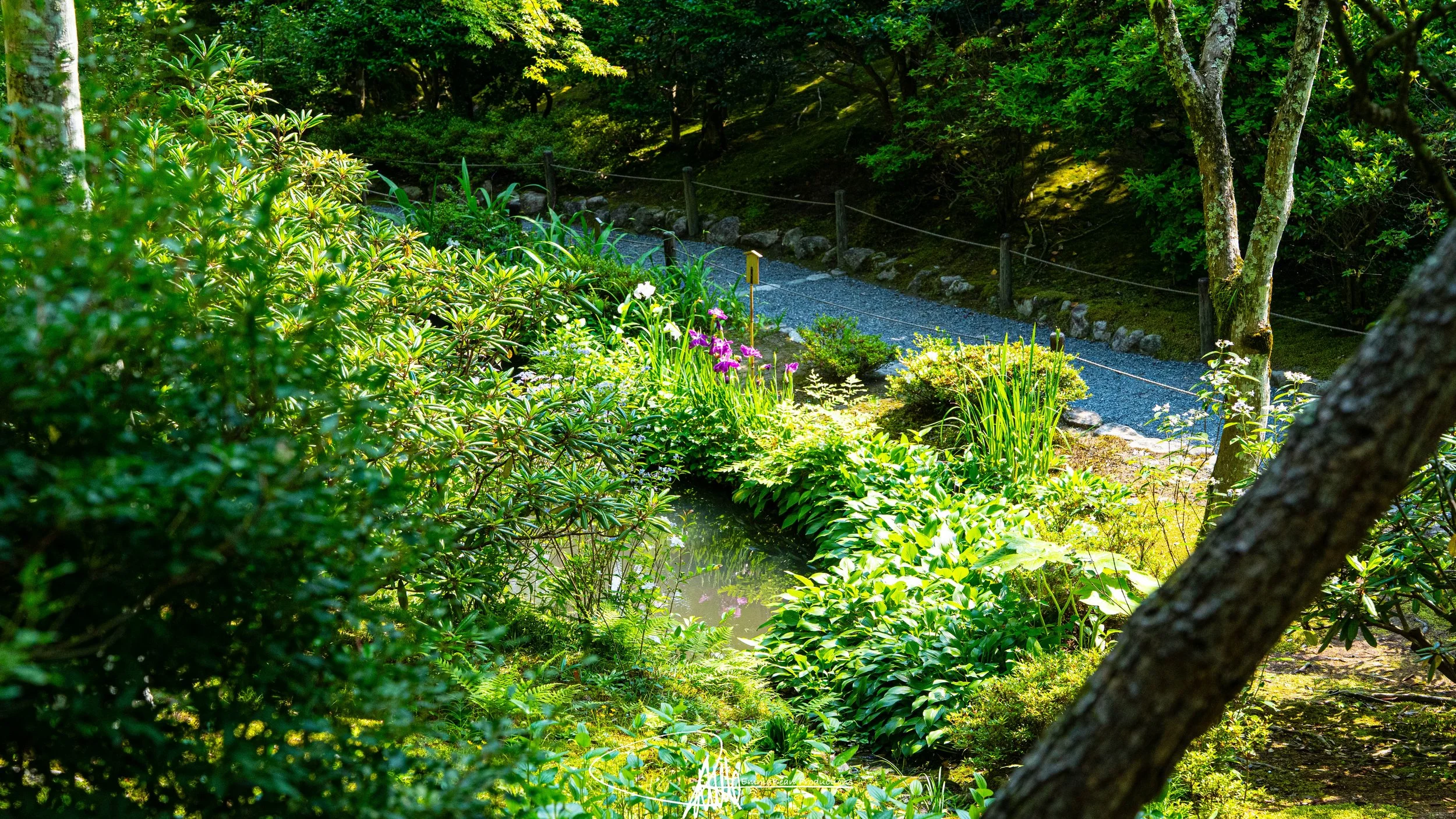 DSC04778-1.jpg