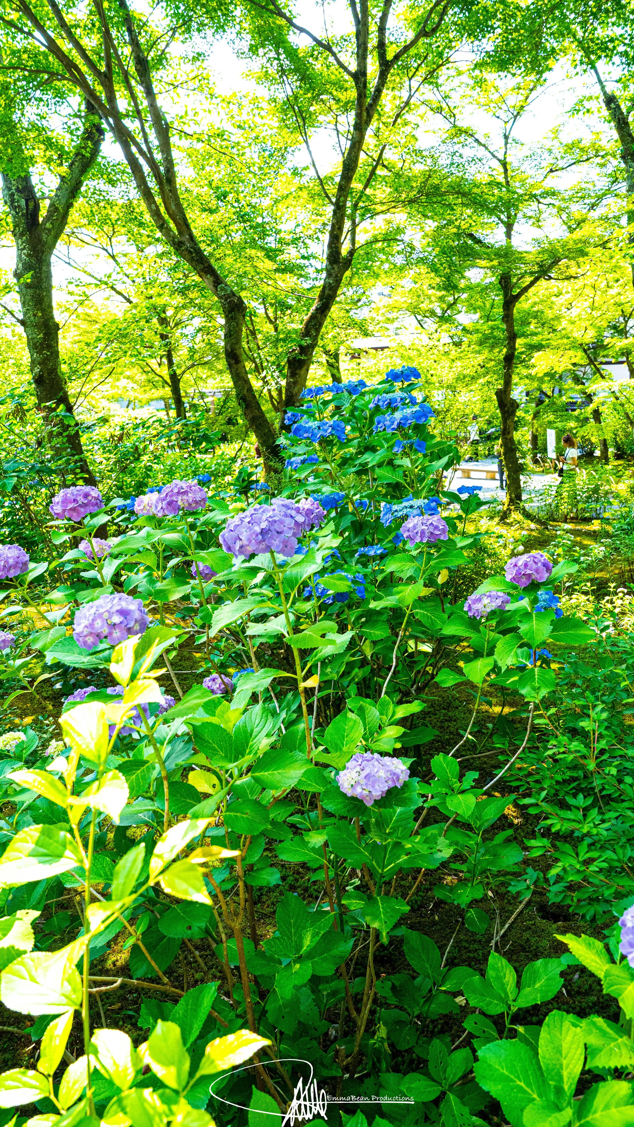 DSC04798-1.jpg