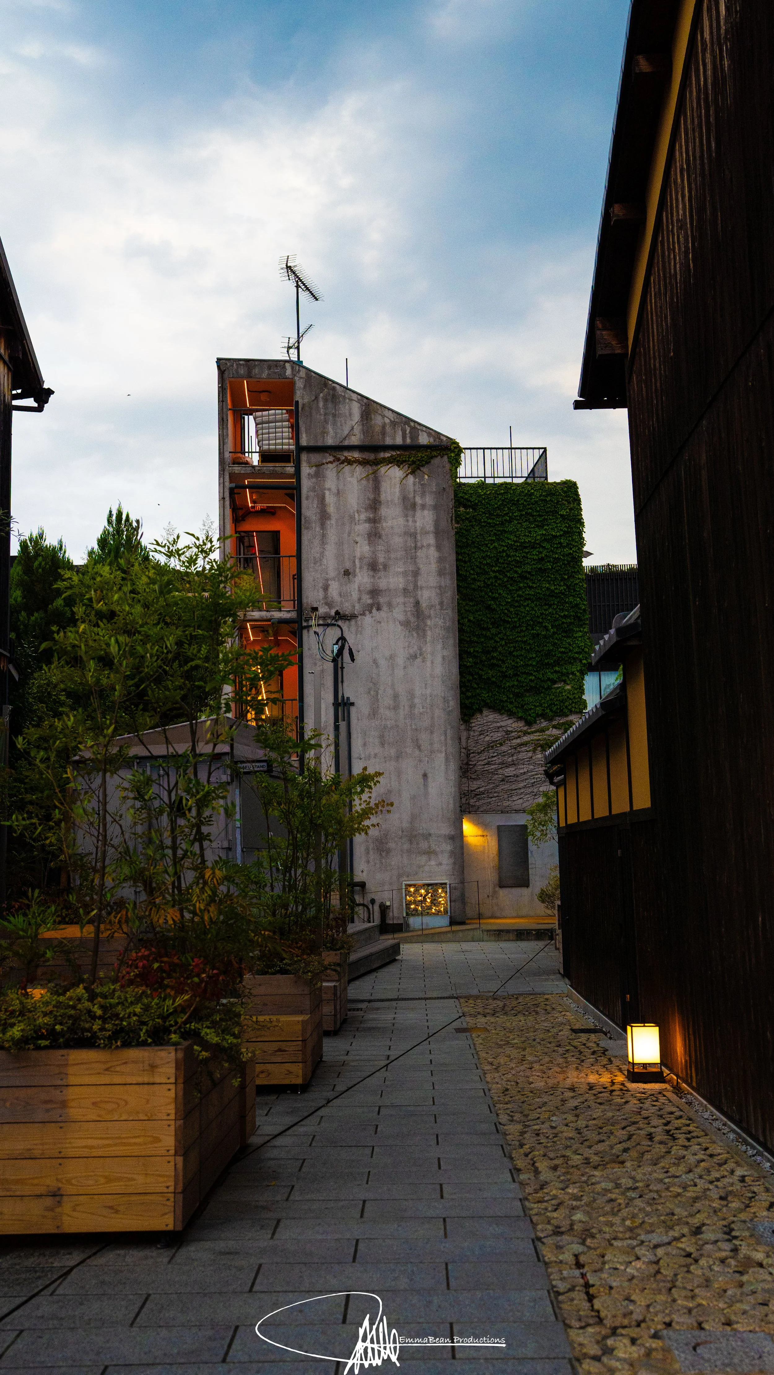 DSC04954-1.jpg
