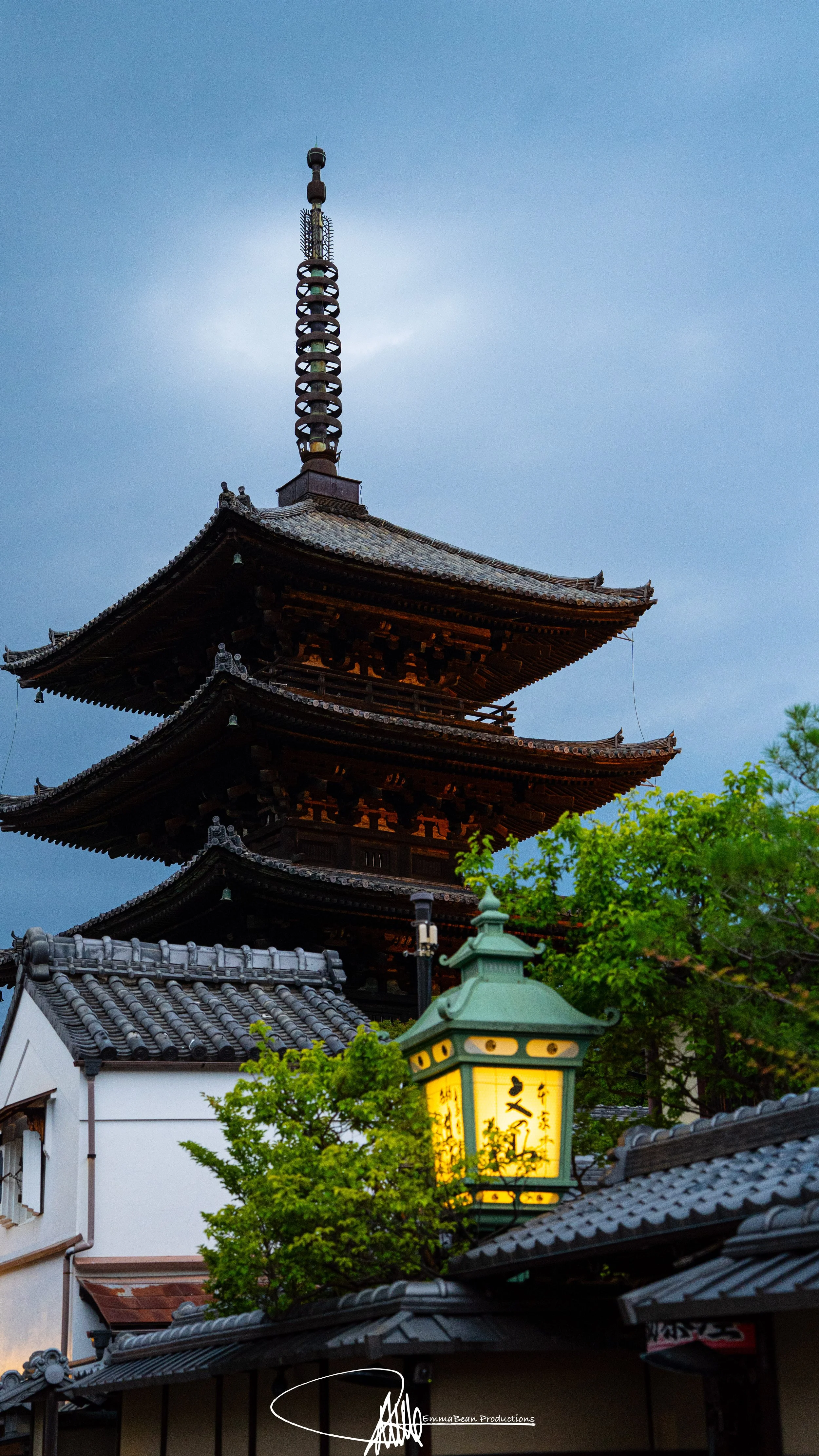 DSC04957-1.jpg