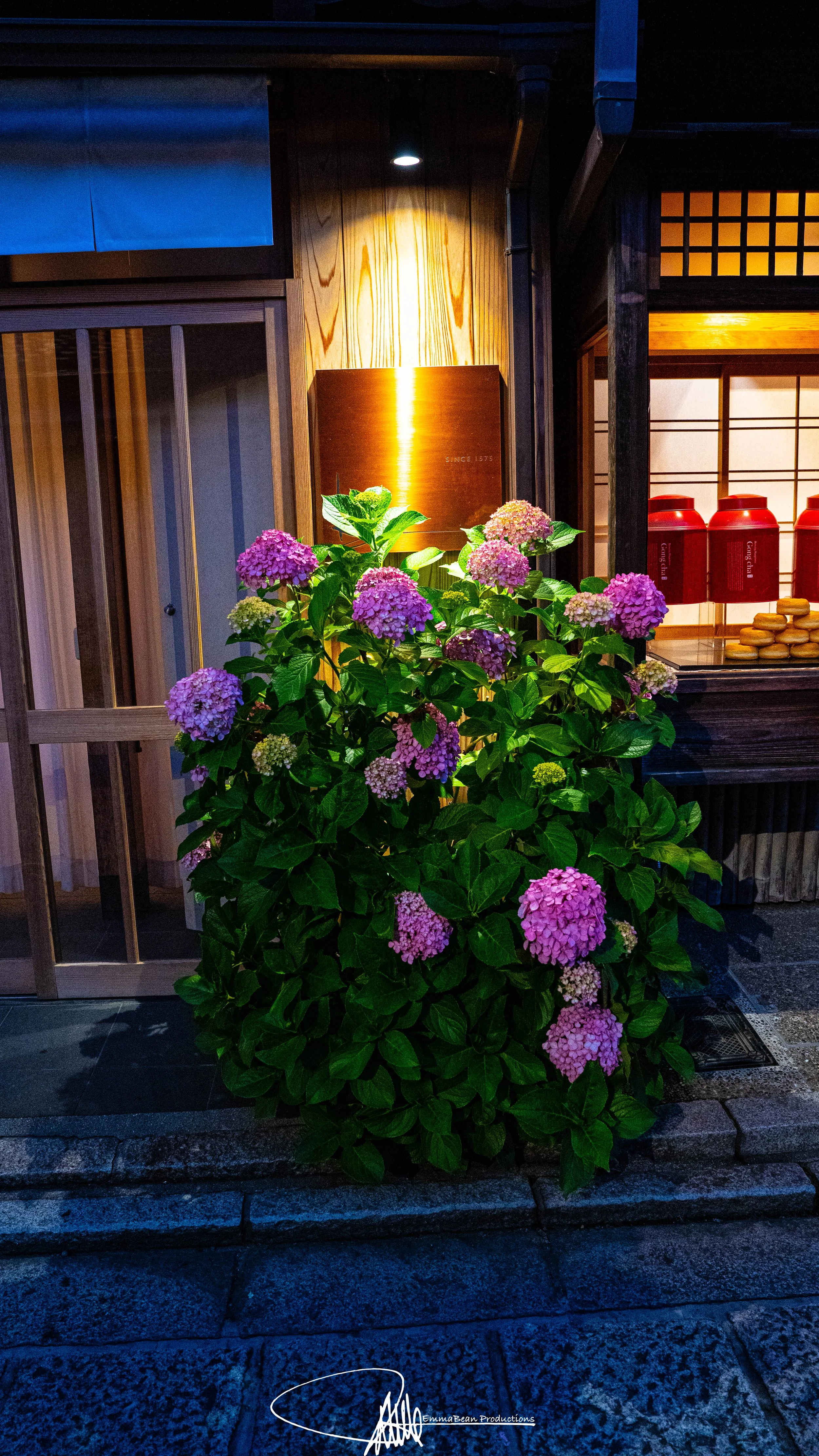 DSC05004-1.jpg