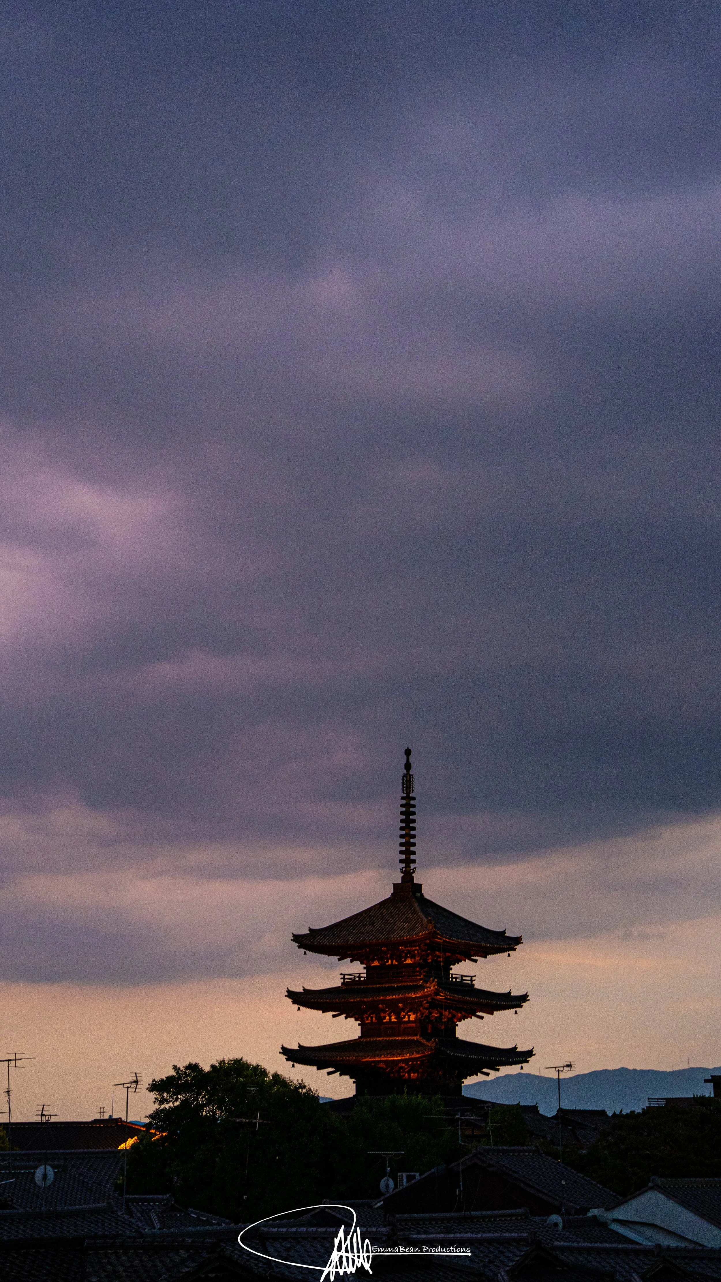 DSC05019-1-2.jpg