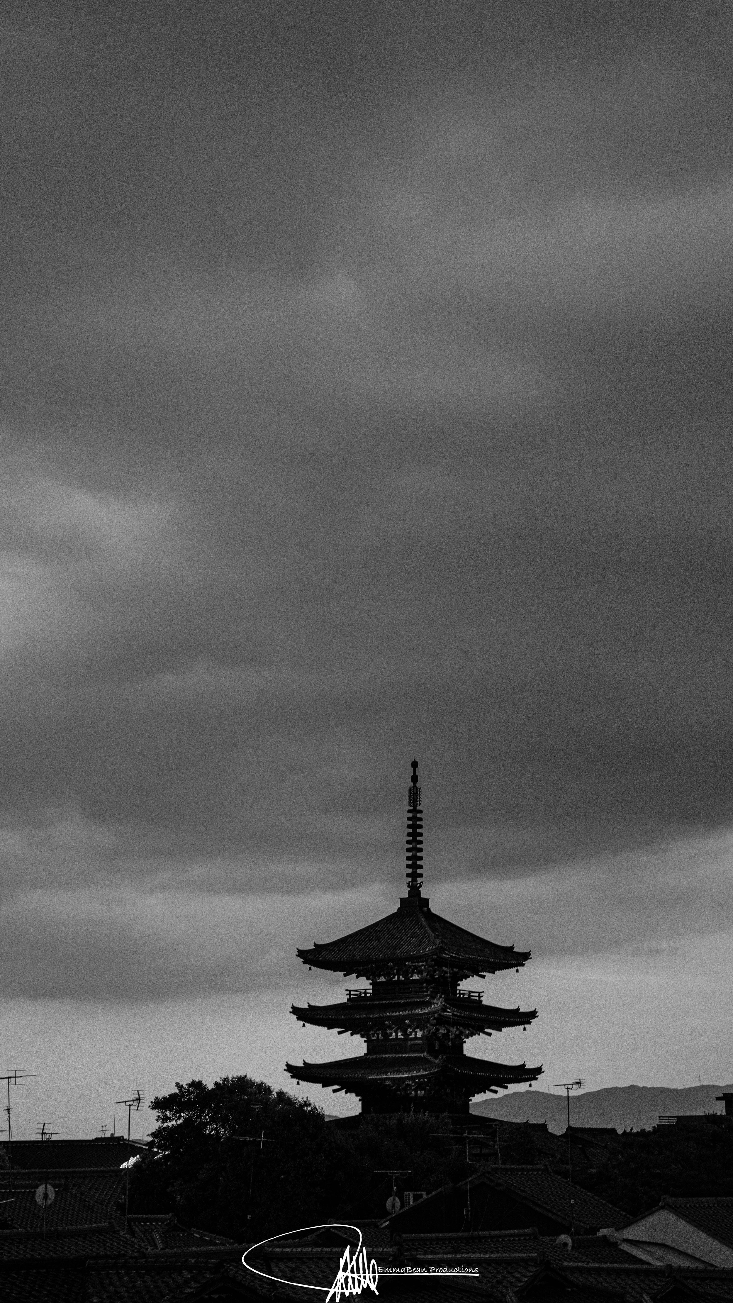 DSC05019-1.jpg