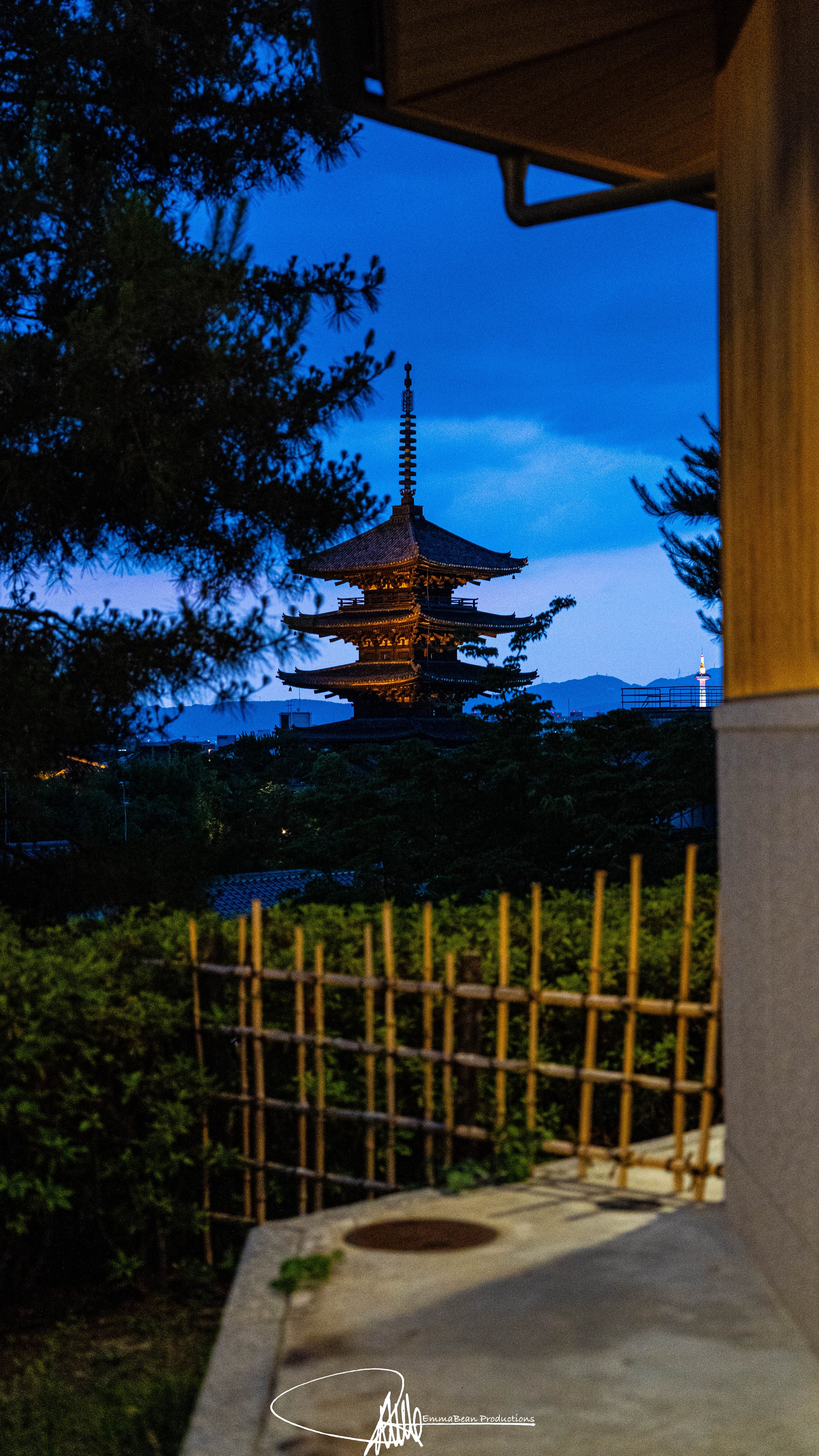 DSC05040-1.jpg