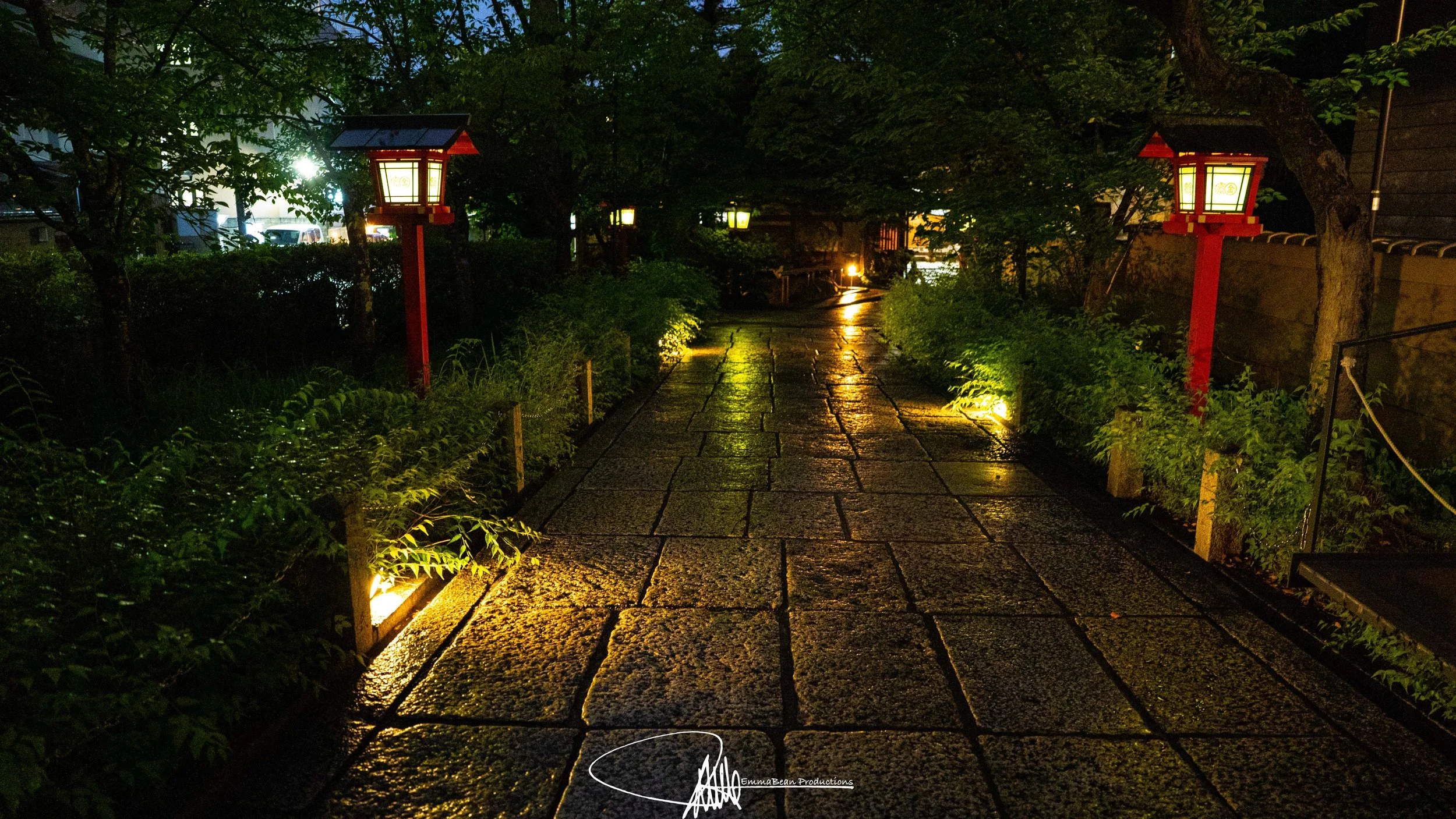 DSC05082-1.jpg