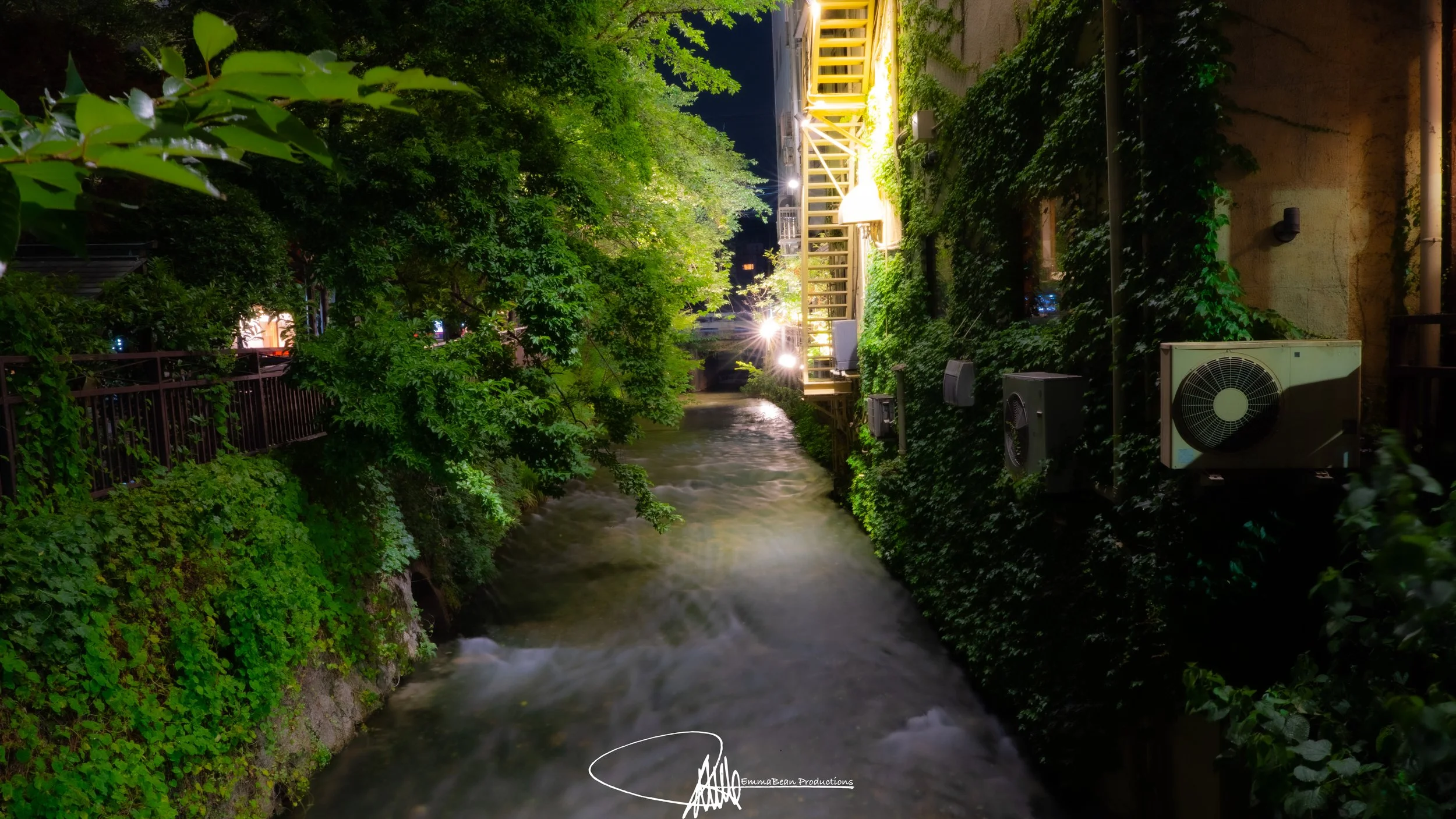 DSC05135-1.jpg