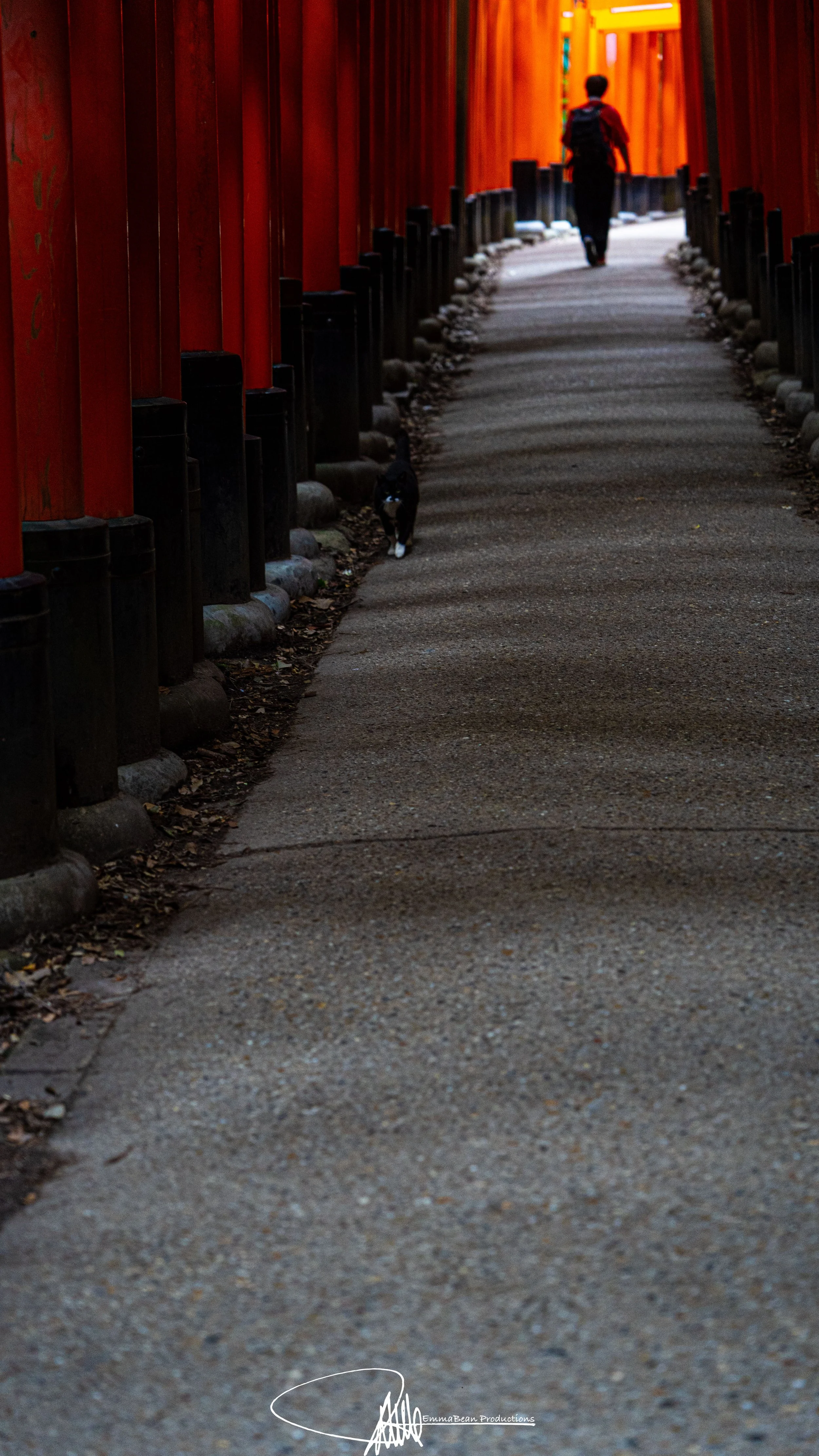 DSC05198-1.jpg