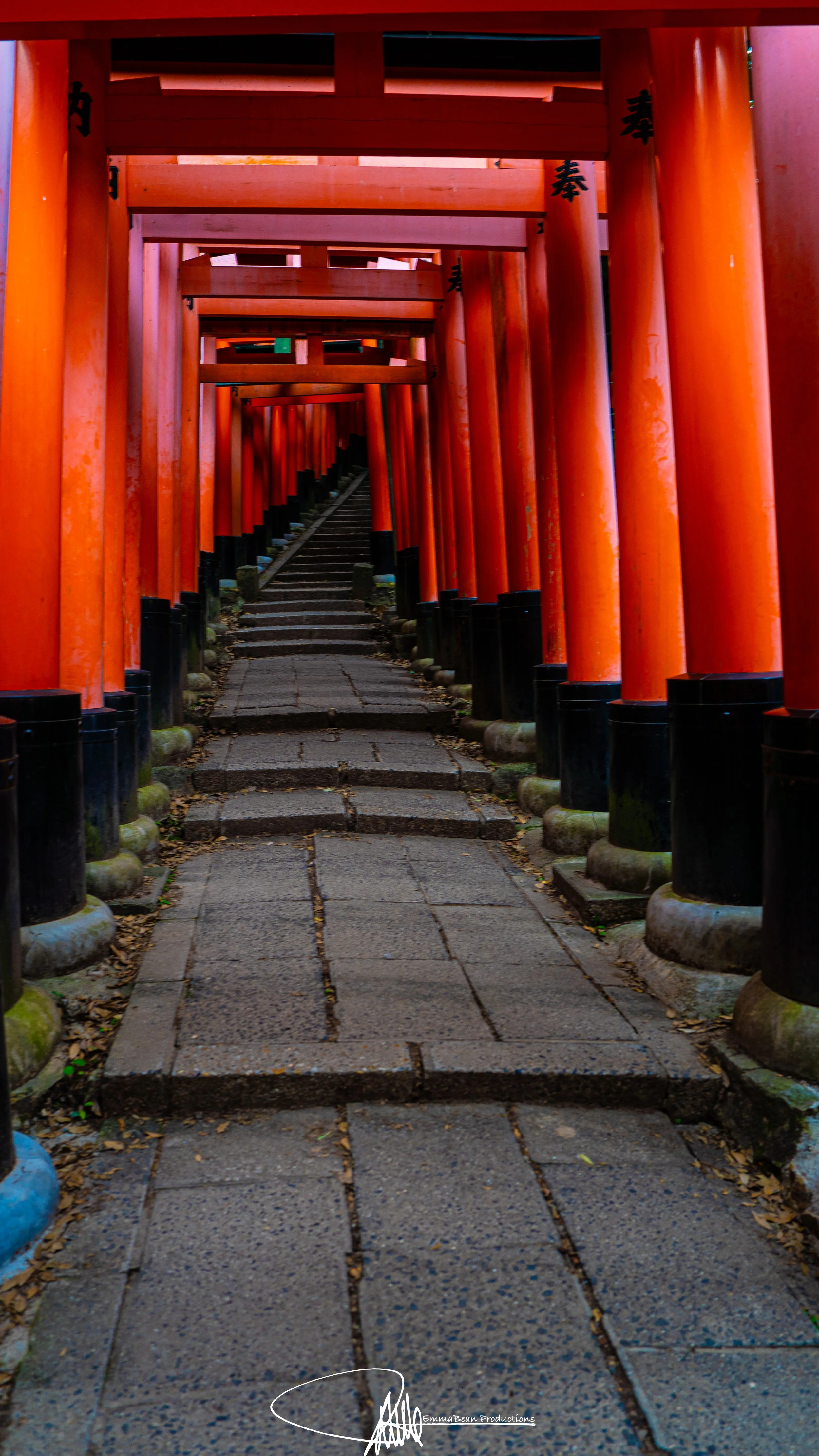 DSC05216-1.jpg