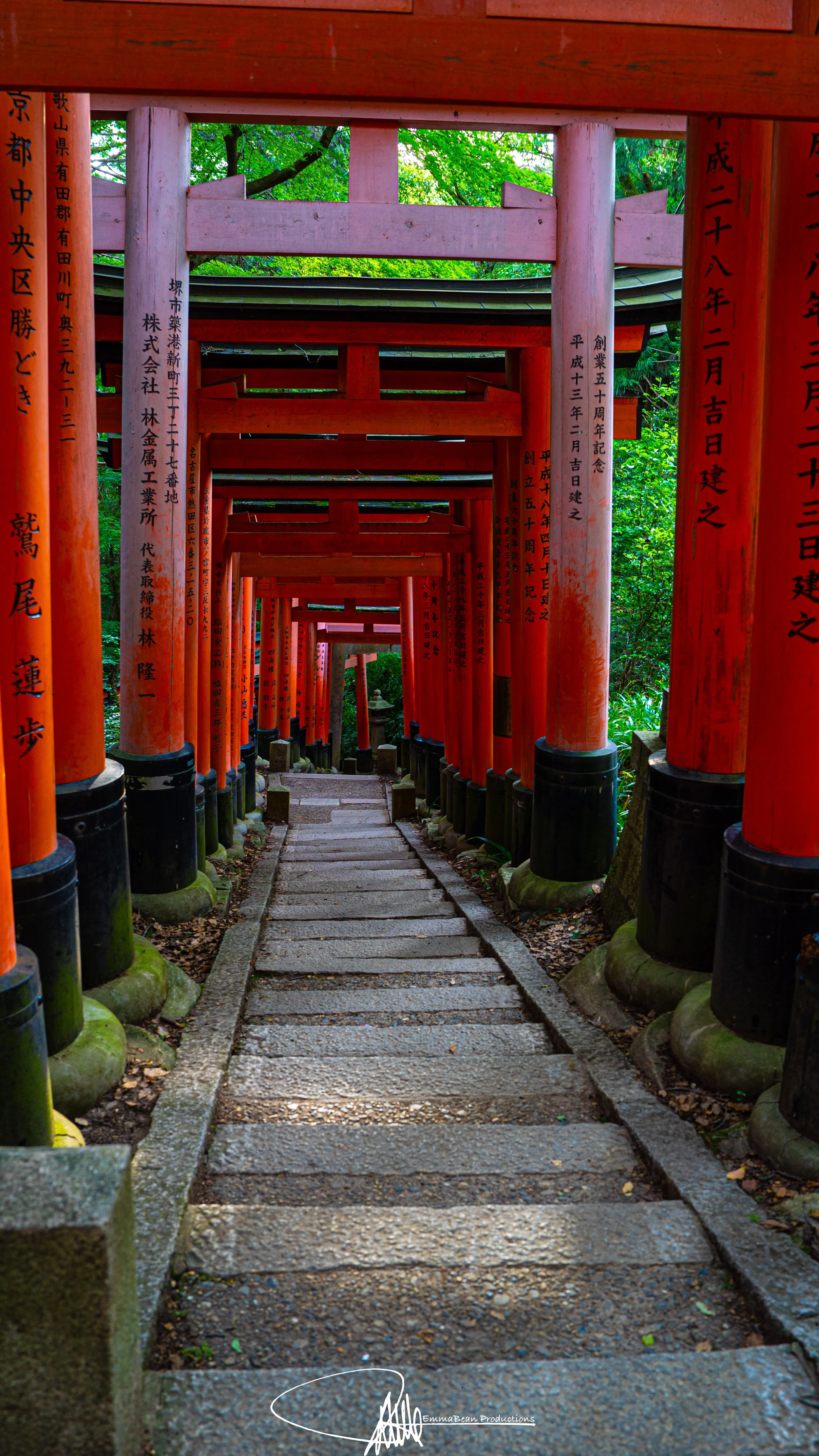 DSC05232-1.jpg
