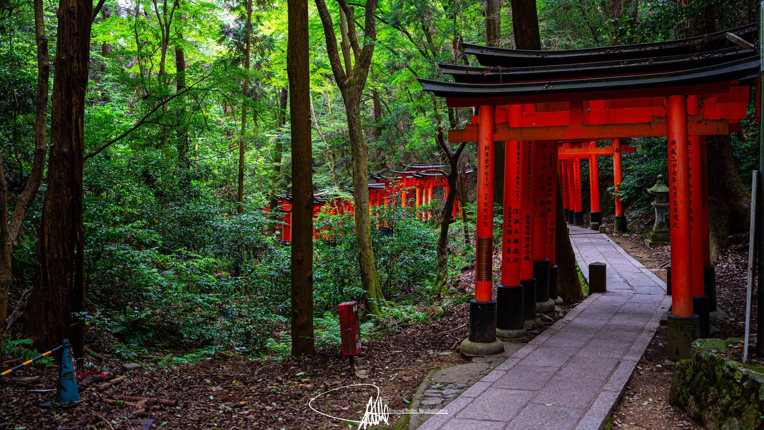 DSC05235-1.jpg