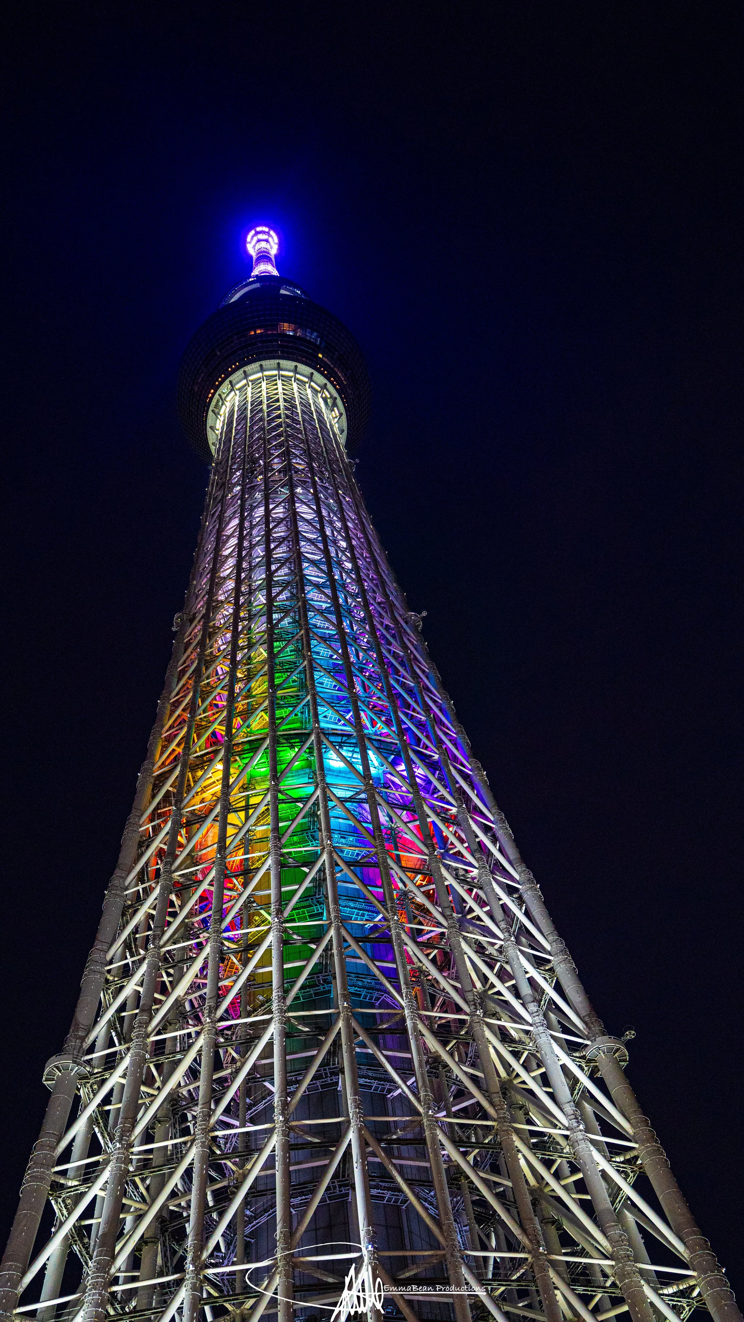 DSC05940-1.jpg