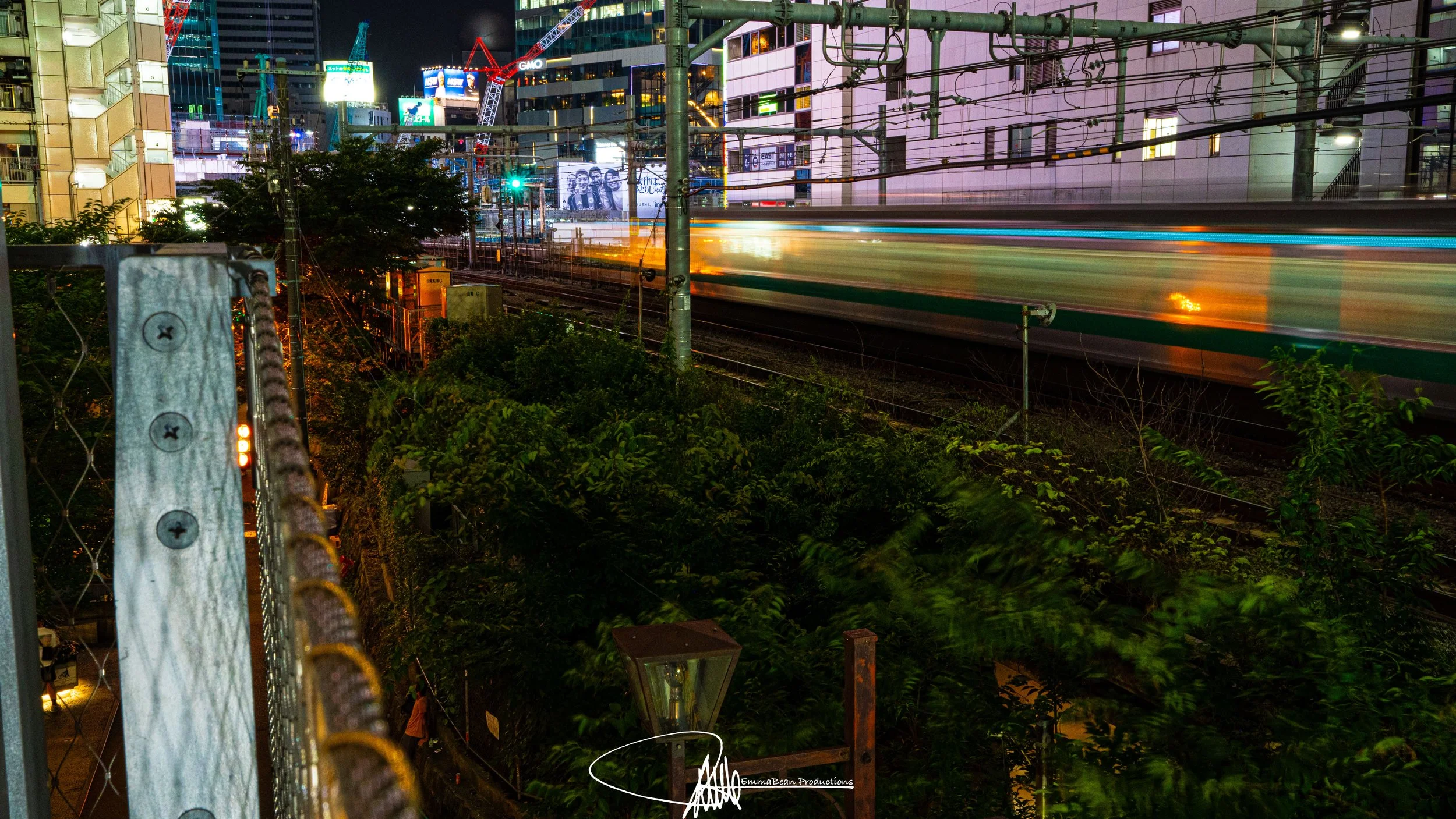 DSC06289-1.jpg