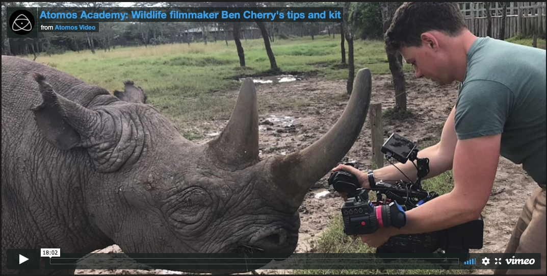 Atomos Academy - Tips and Kit for wildlife filmmaking