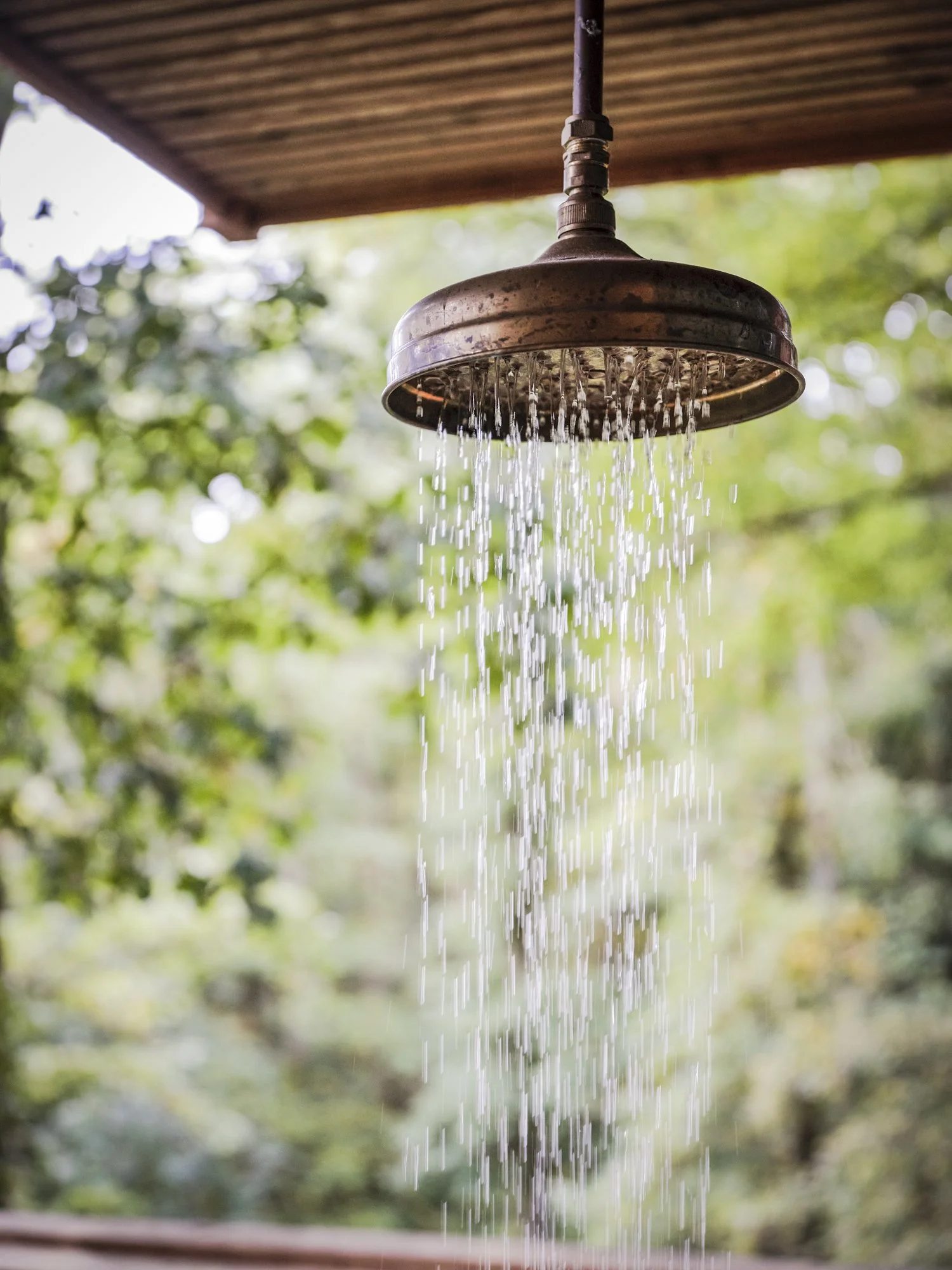 RPS 2233 RFTS - KIP Hideaways Secret Treehouse  0072.jpg