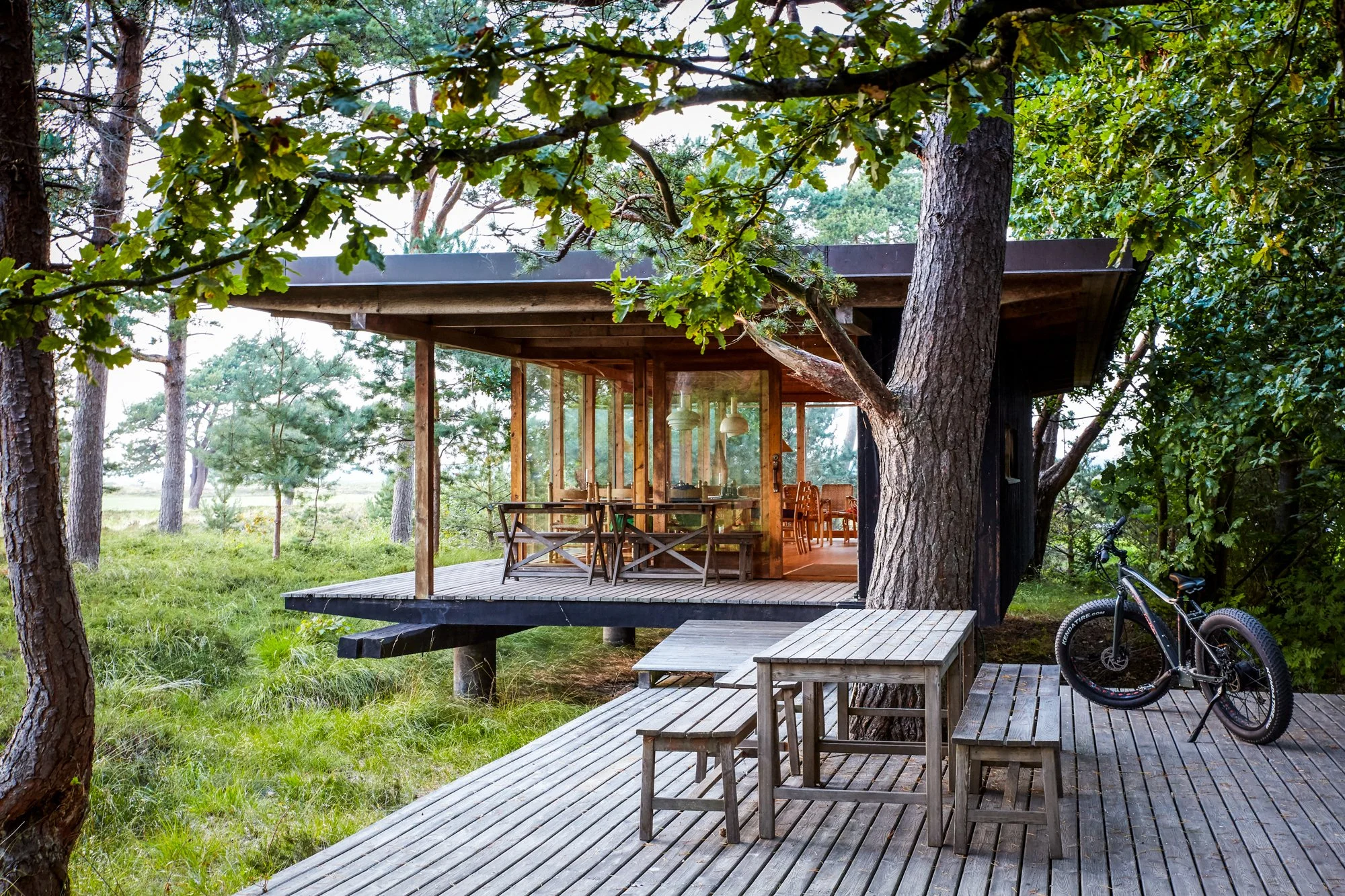 TCN_32a Peter Erlandsson - Malmo  - Sweden 0384.jpg