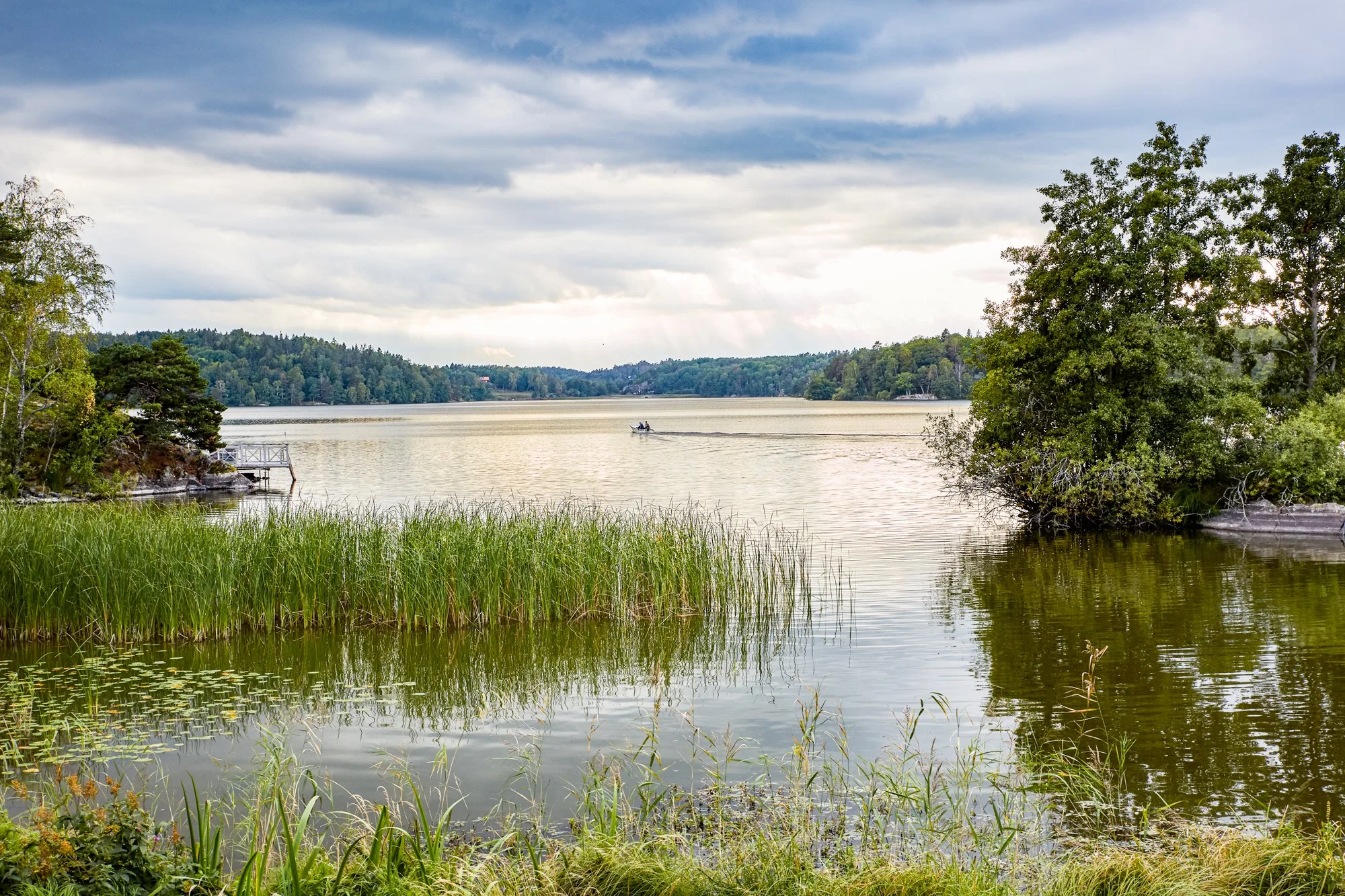 TCN_31a Victoria Skoglund - Sweden 0415.jpg