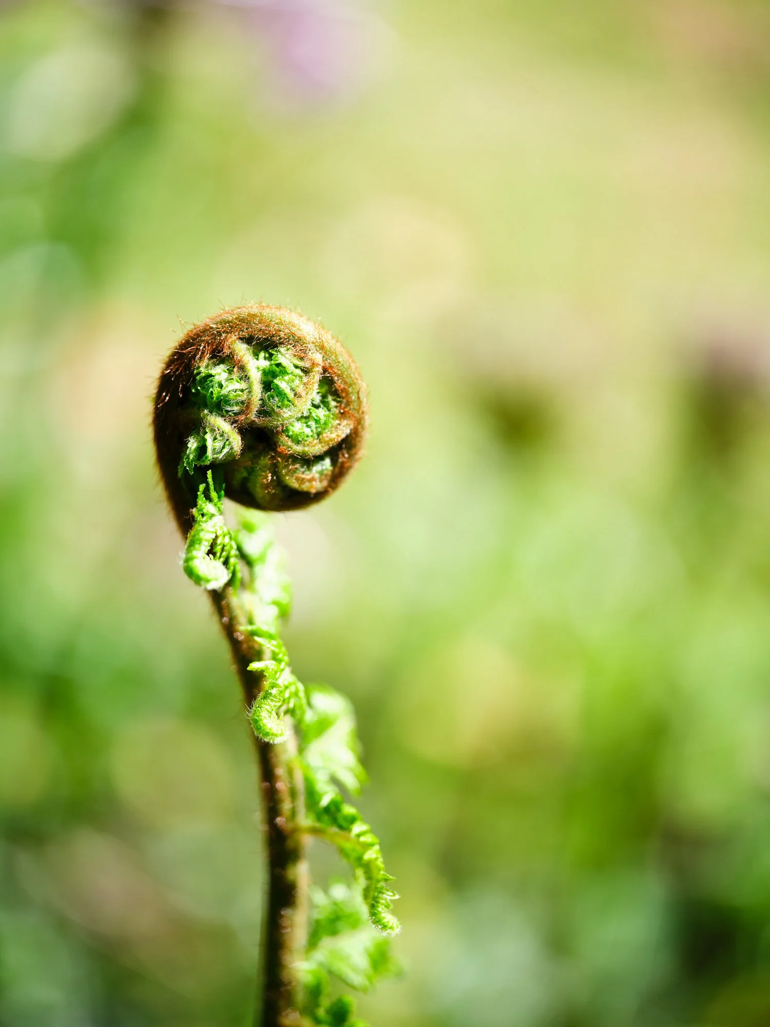 RPS 2180 GFTS - Alison Bosworth_0144.jpg