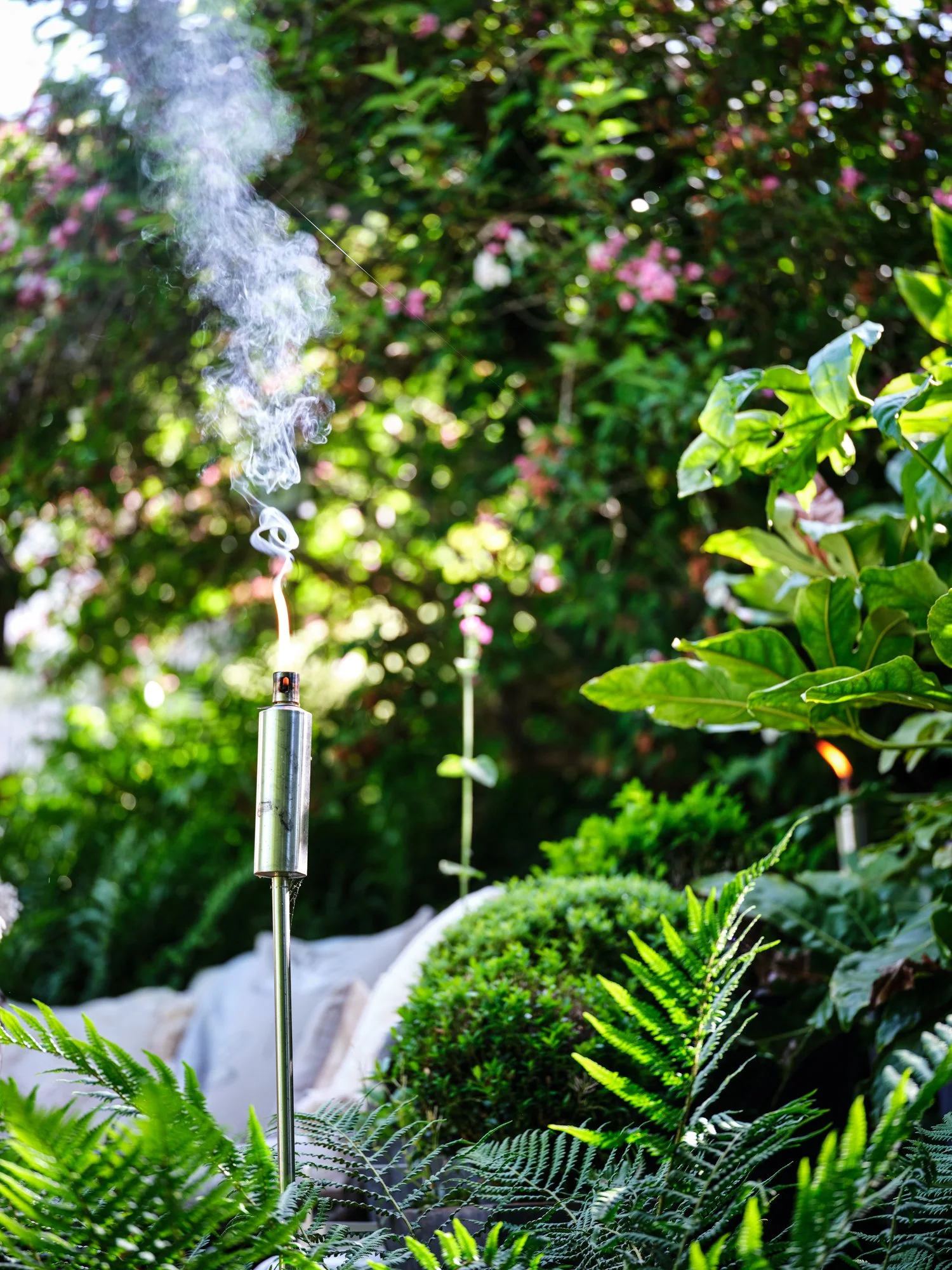 RPS 2180 GFTS - Alison Bosworth_0009.jpg