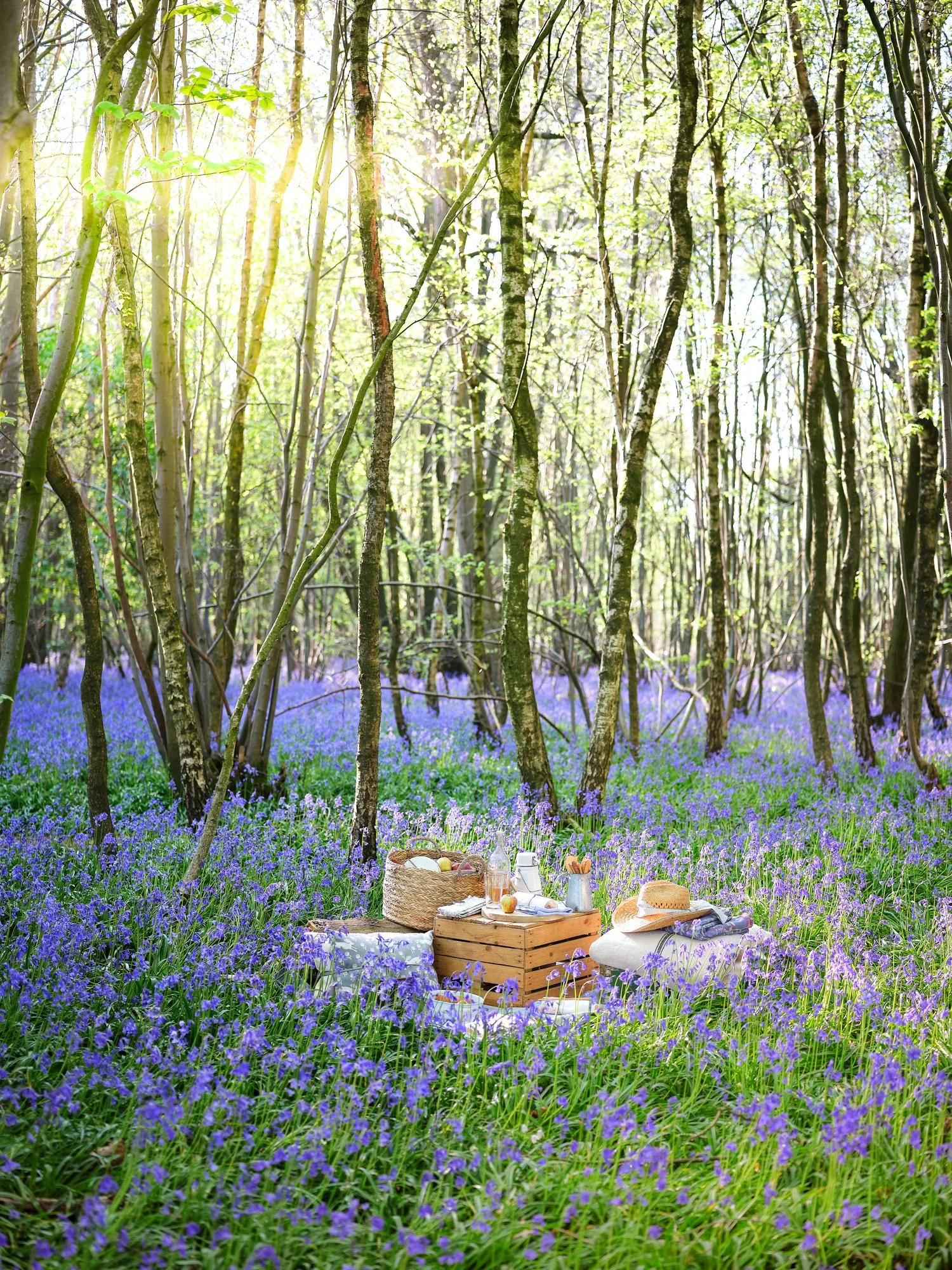 Bluebells_TCN_58a_Picnic_Main picnic_2572.jpg