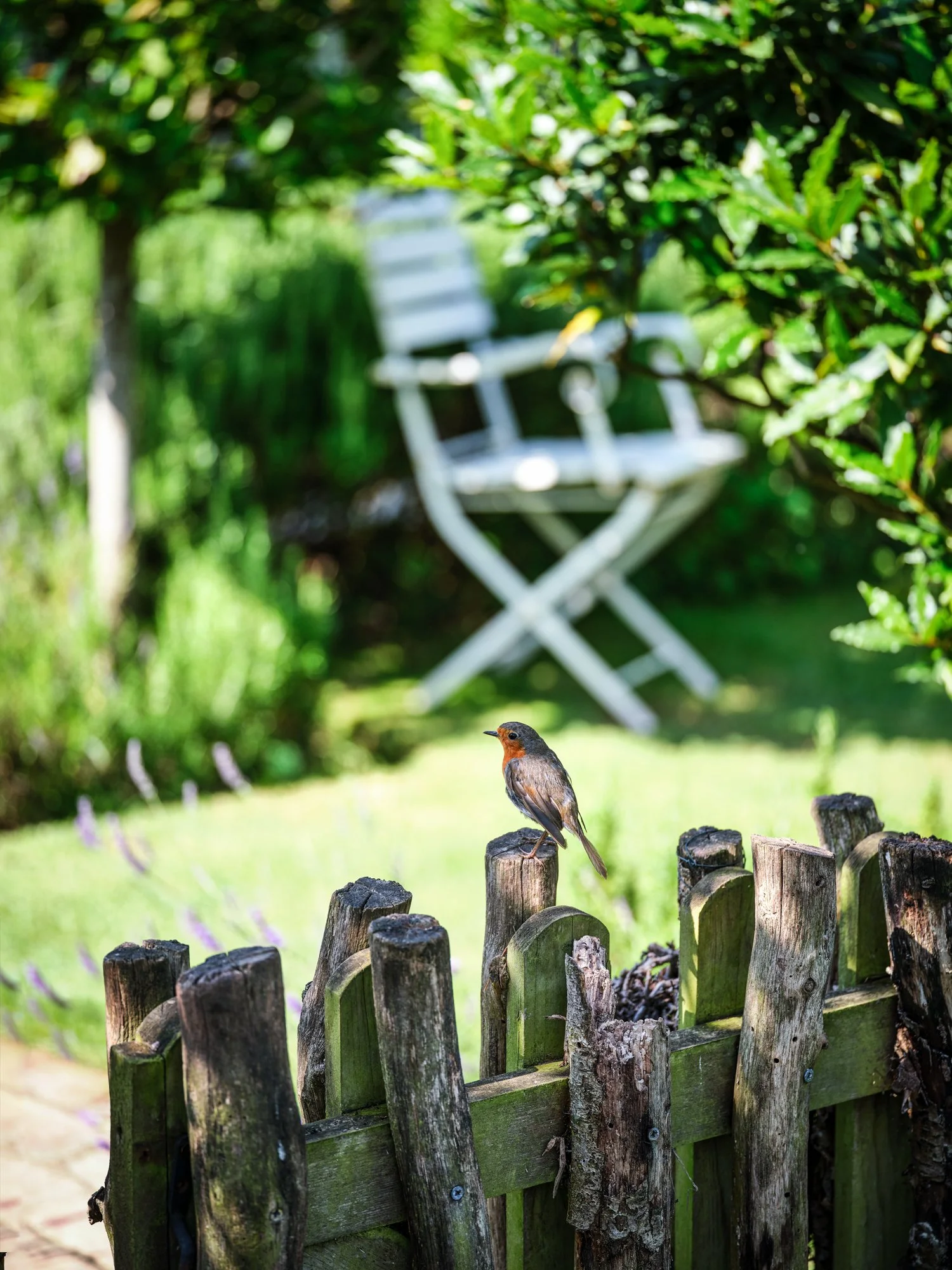 RPS 2180 GFTS-Samantha Greetham_0018.jpg