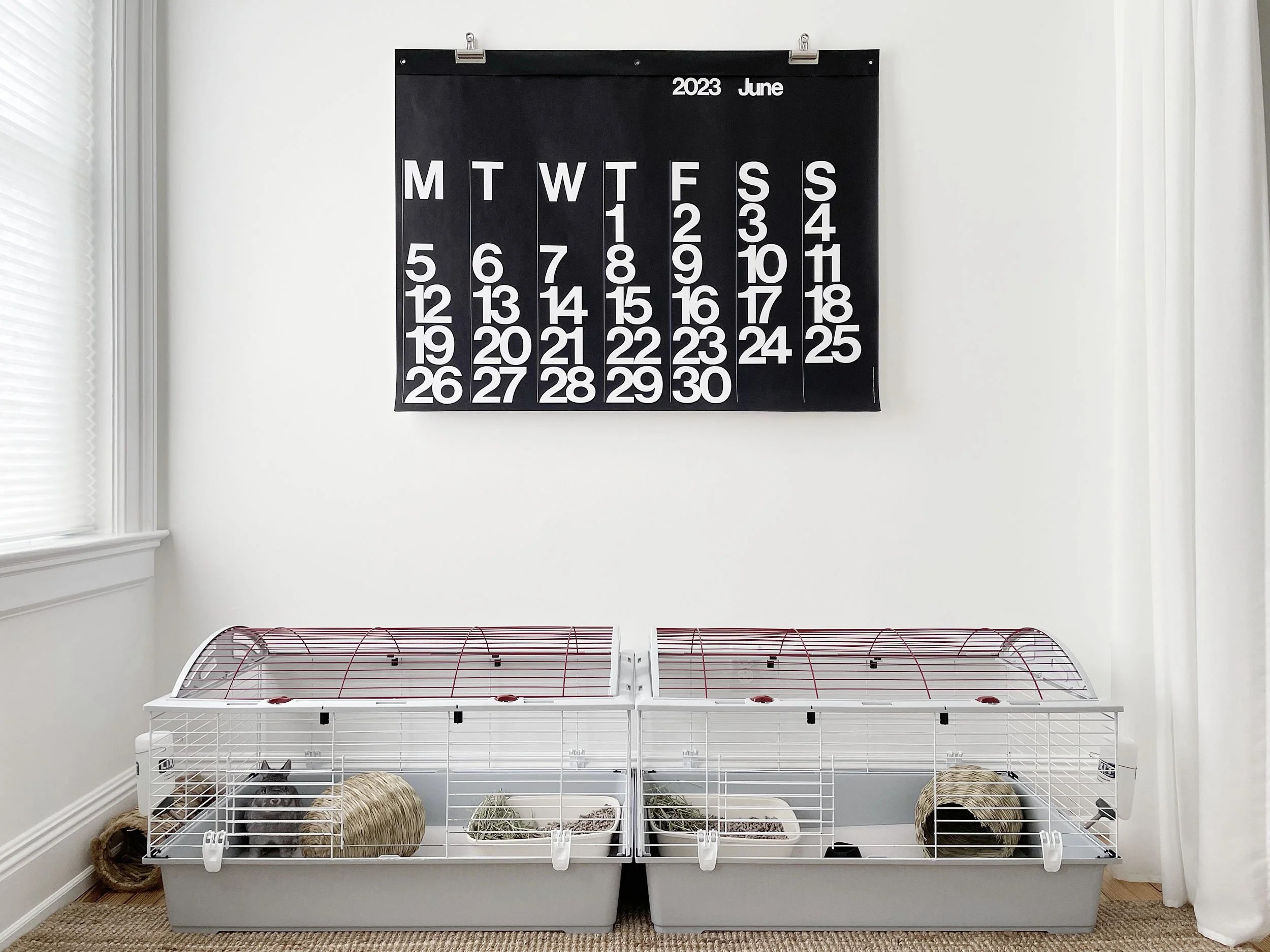 Minimalist living with pets