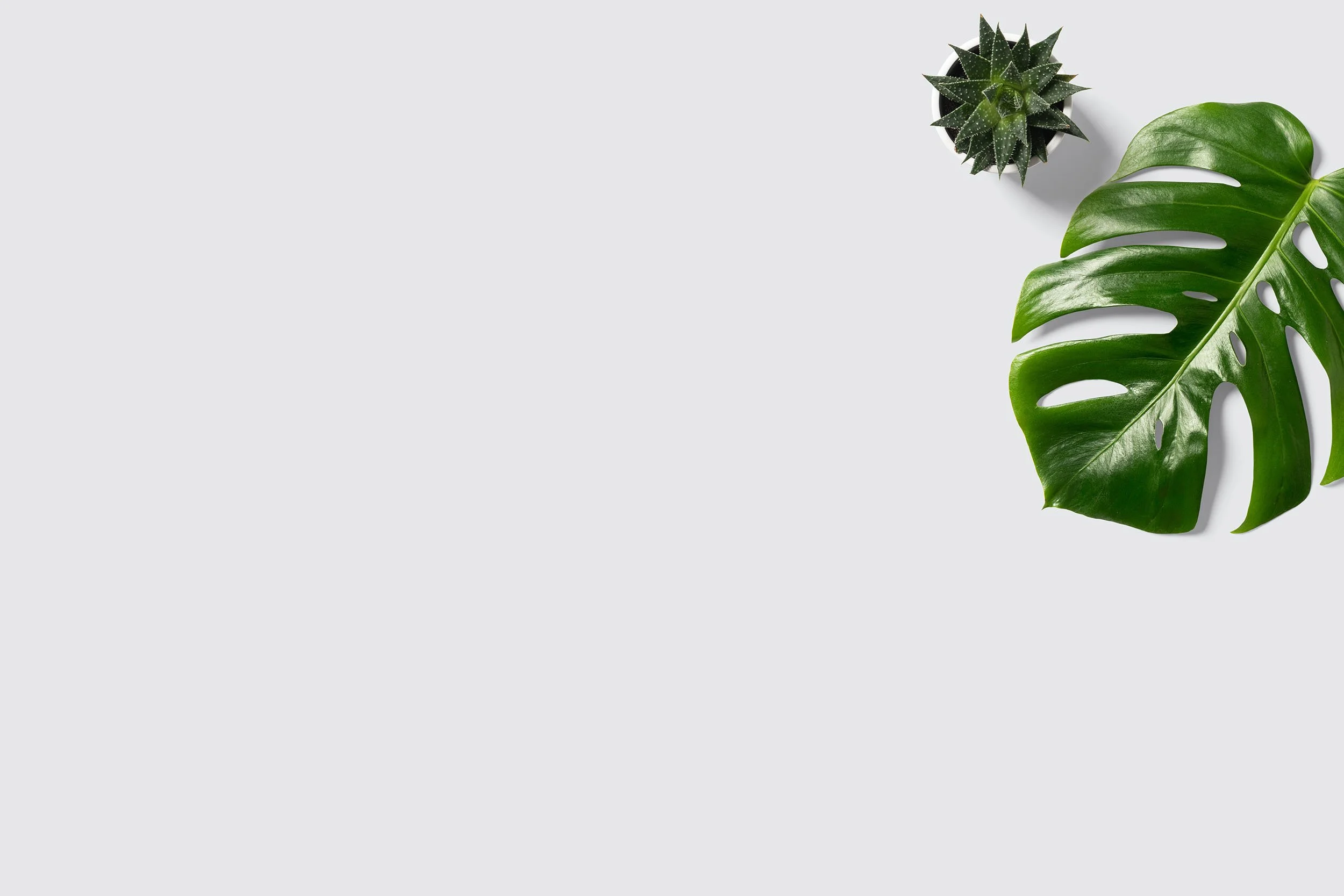 Minima’s Comprehensive List of Organizing Resources