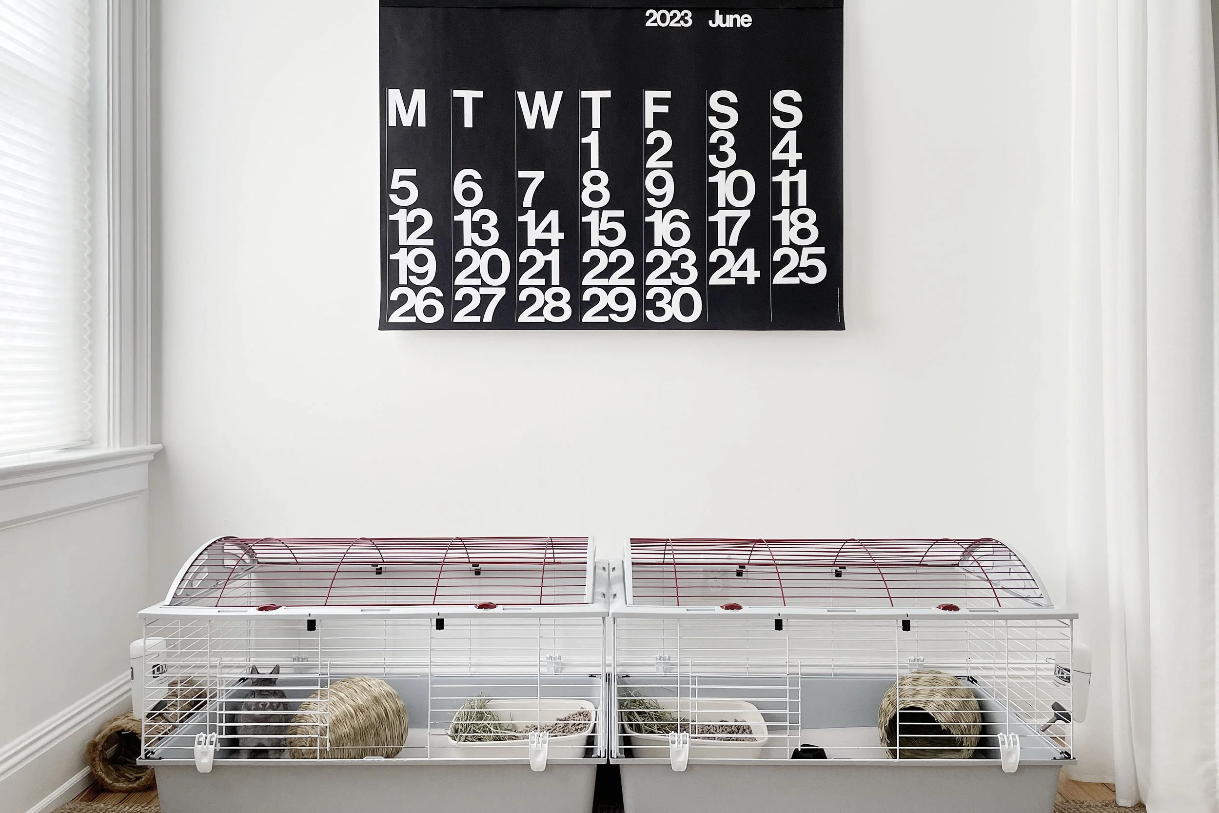 Minimalist Living with Bunnies and Other Pets
