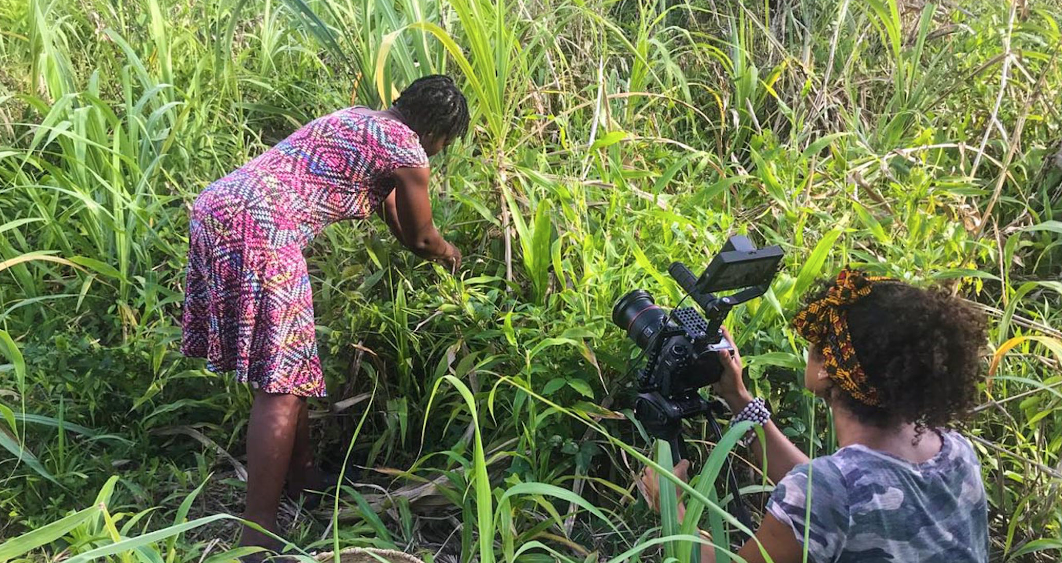 Screen Shot 2019-04-11 at 7.26.53 am.png