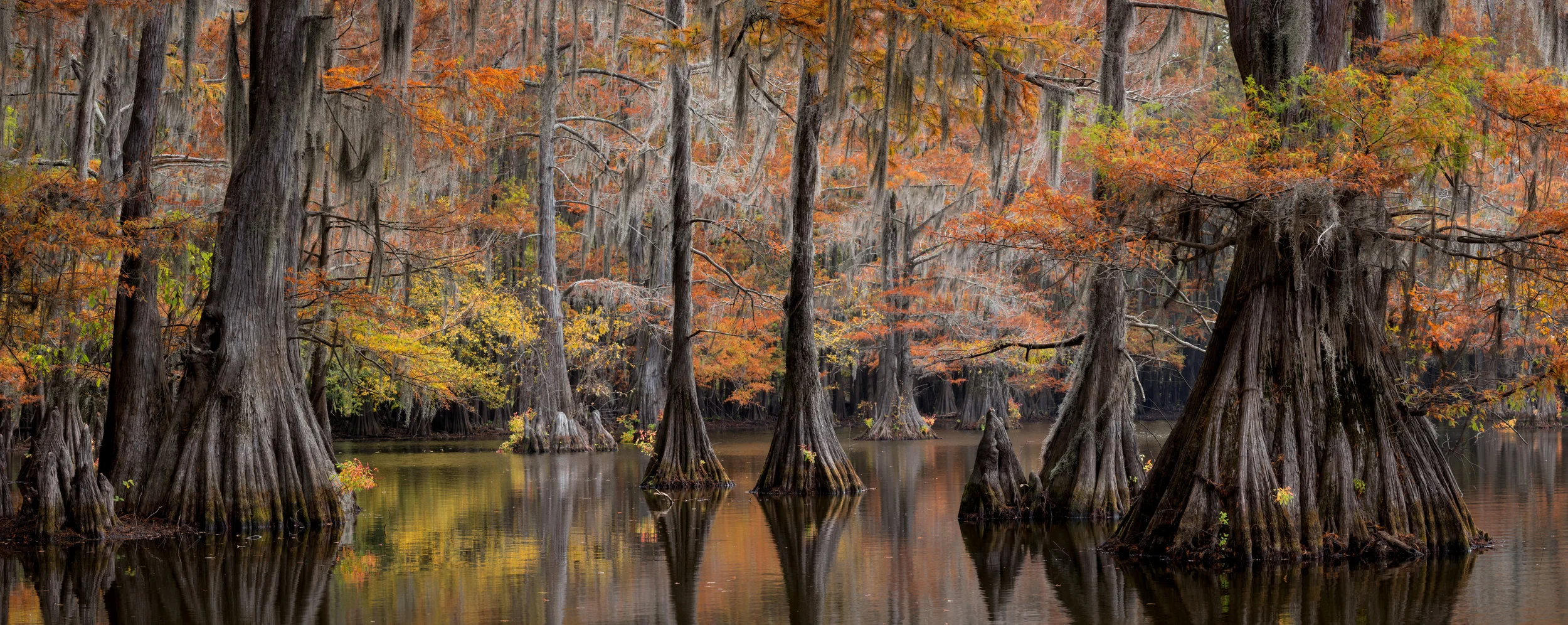 DSC_5115-Pano-Edit.jpg