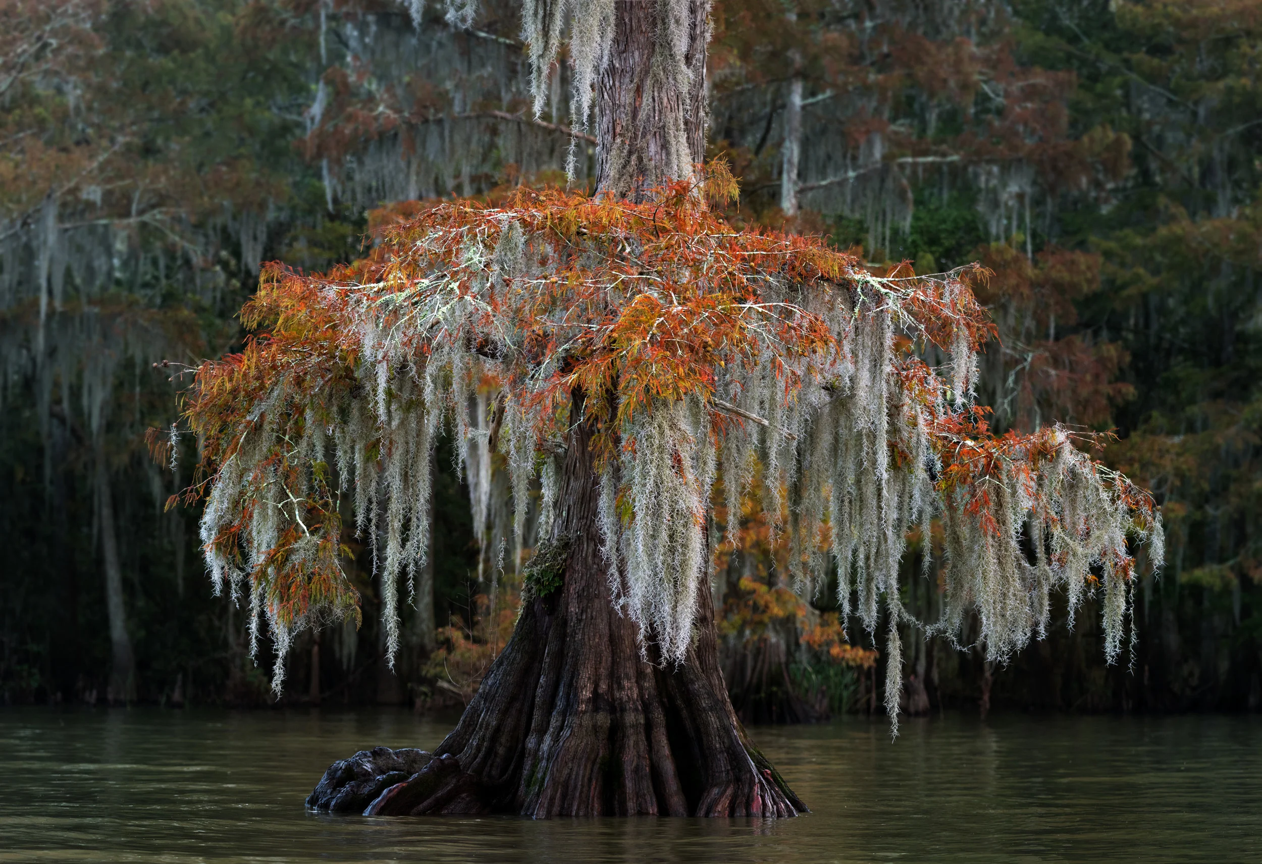 DSC_6142-Pano.jpg